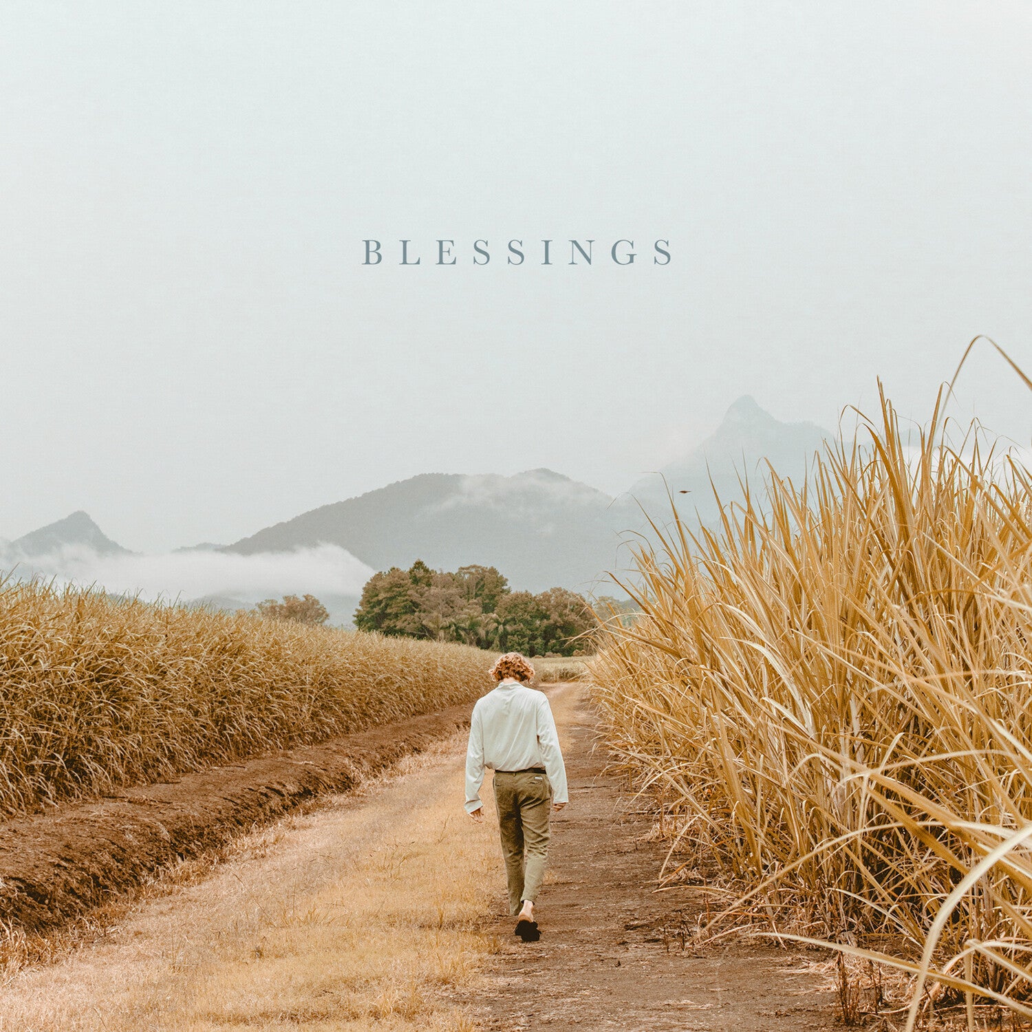 Hollow Coves - Blessings (Orange Vinyl)