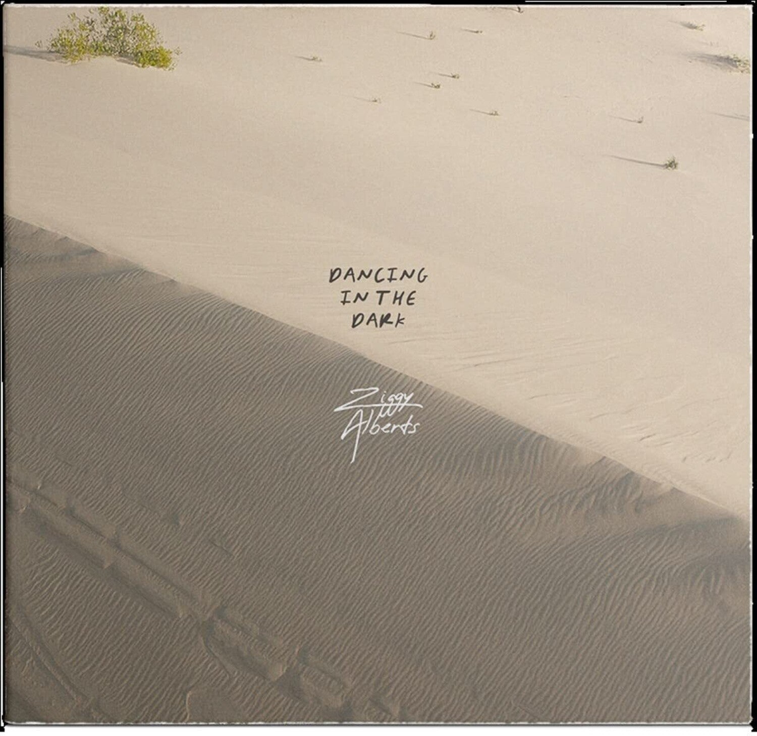 Ziggy Alberts - Dancing In The Dark