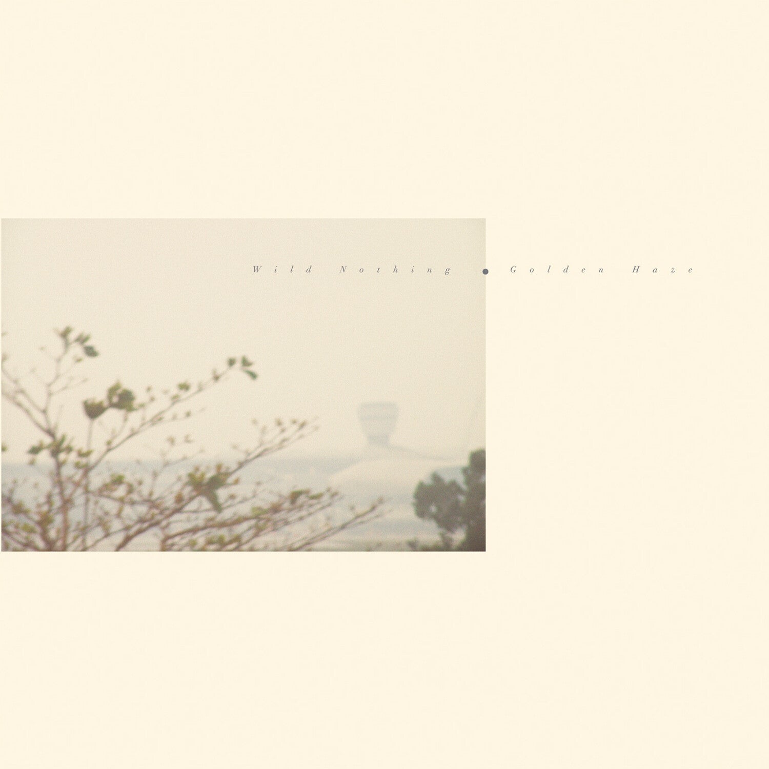 Wild Nothing - Golden Haze - Golden Haze (Gold Vinyl)