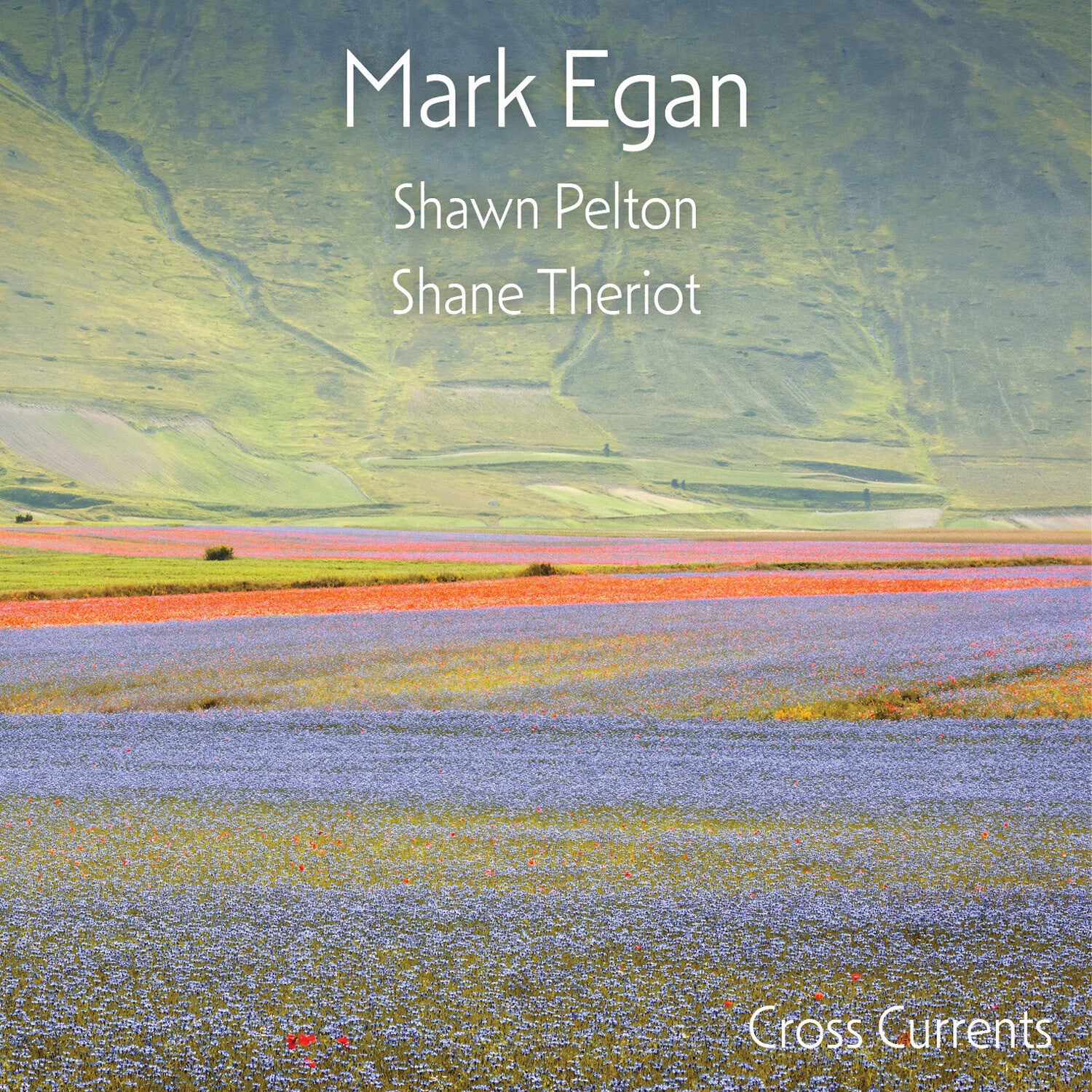 Mark Egan - Cross Currents