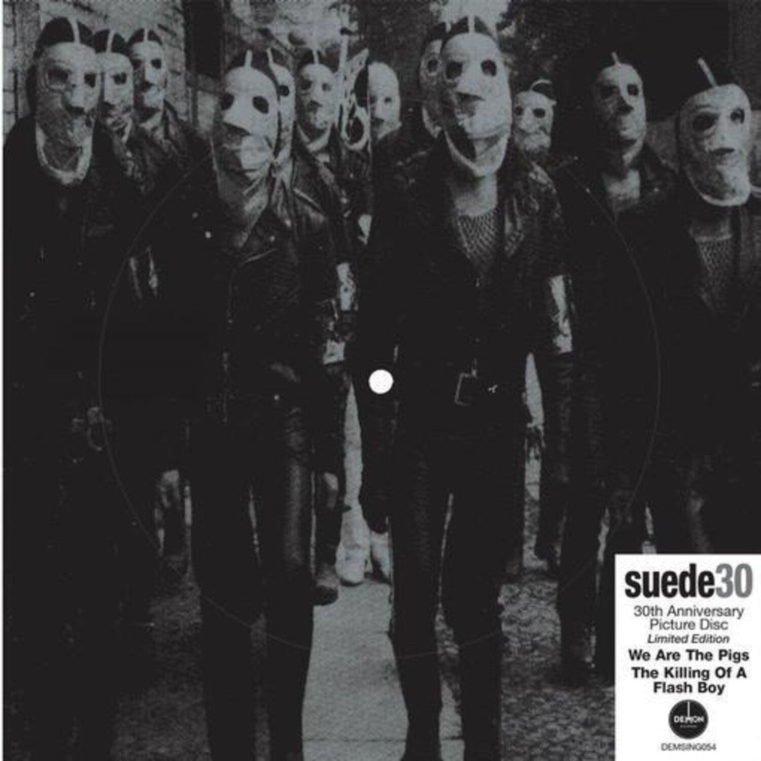 Suede - We Are The Pigs: 30th Anniversary - Picture Disc 7