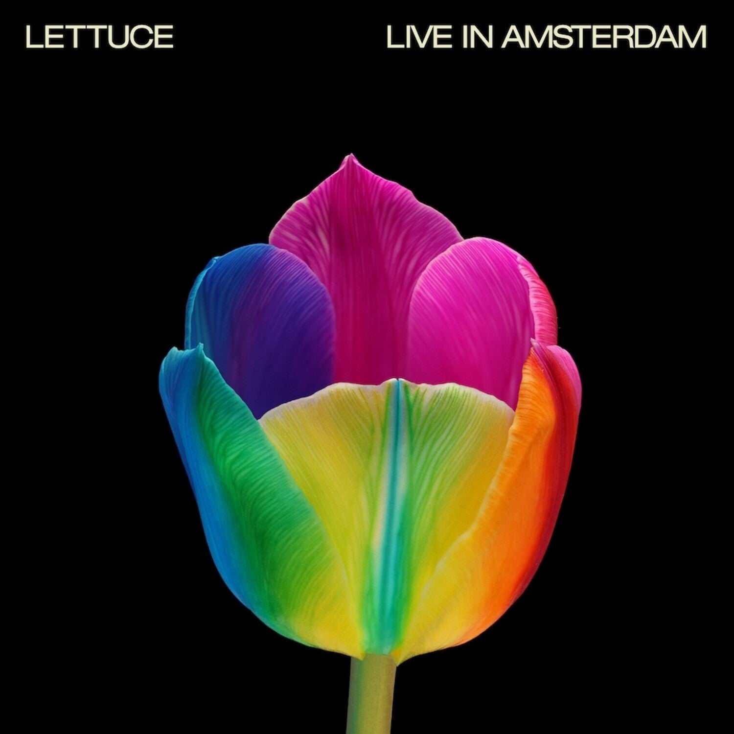 Lettuce - Live In Amsterdam 2xLP
