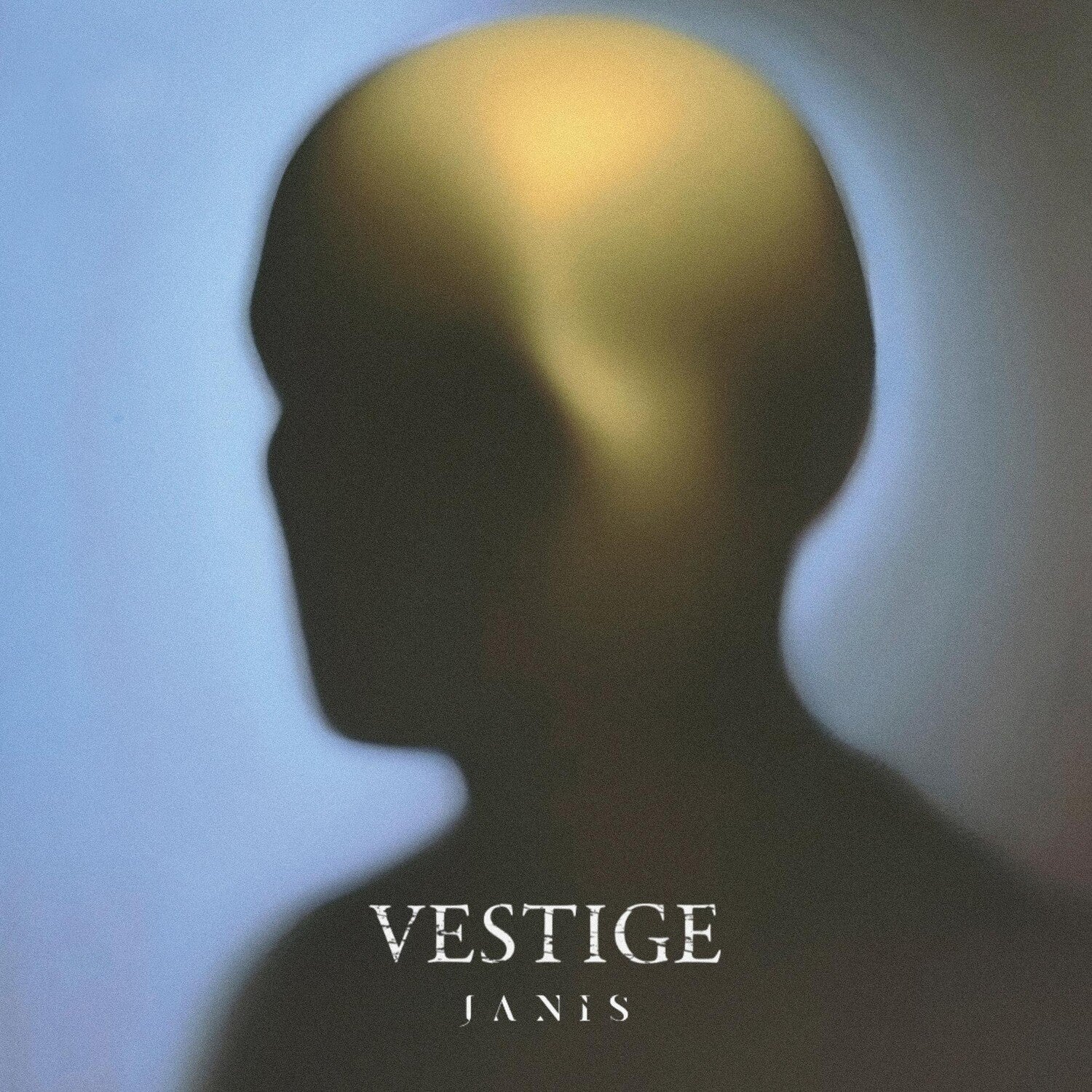 Vestige - Janis 2xLP