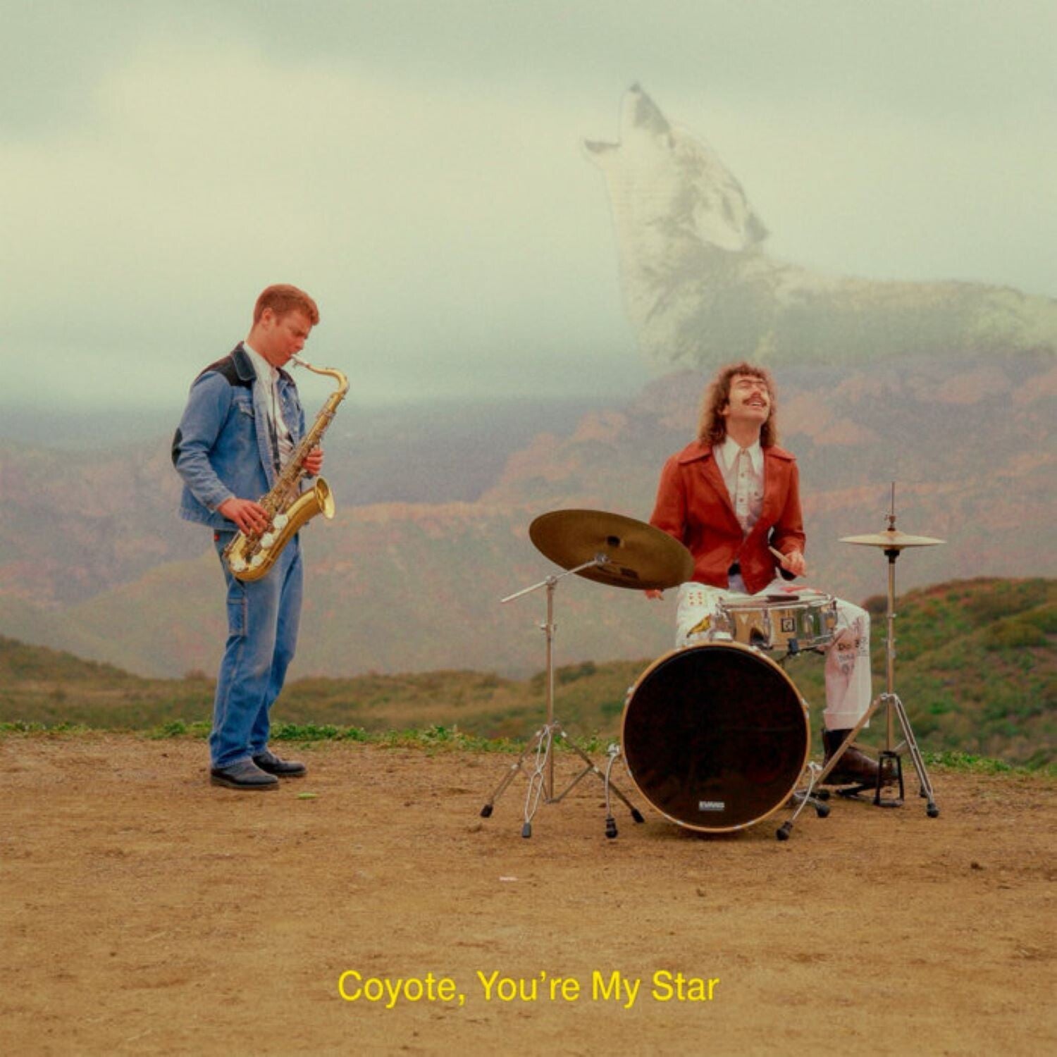 Dana & Alden - Coyote, You're My Star (Brown Vinyl)