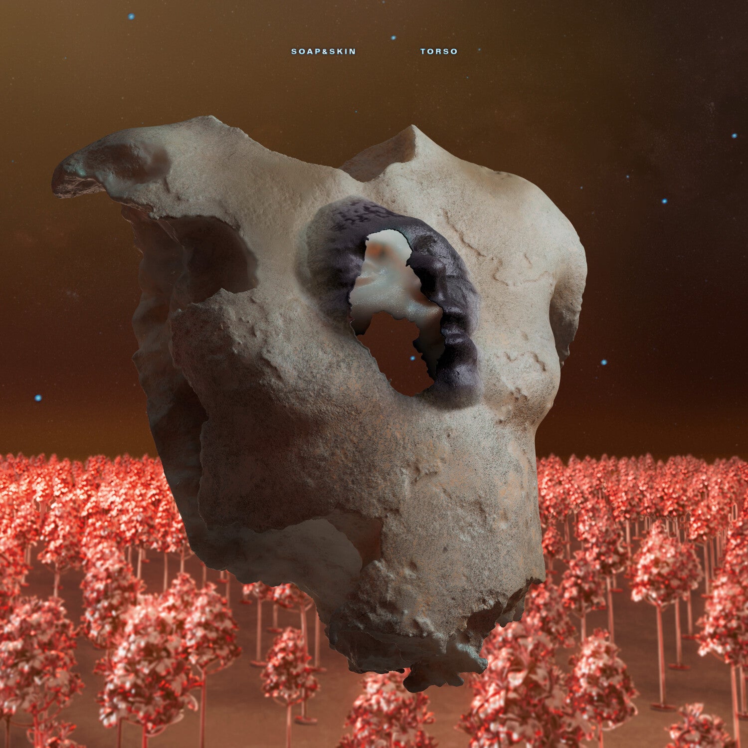 Soap & Skin - Torso 2xLP