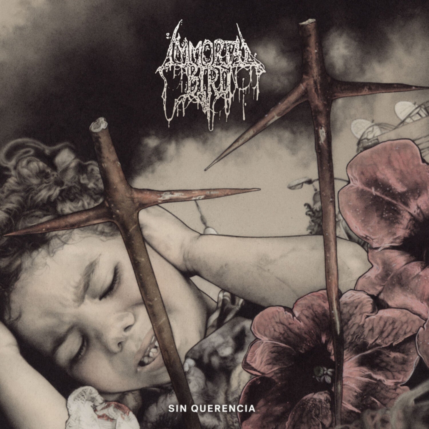 Immortal Bird - Sin Querencia (Limited Edition)