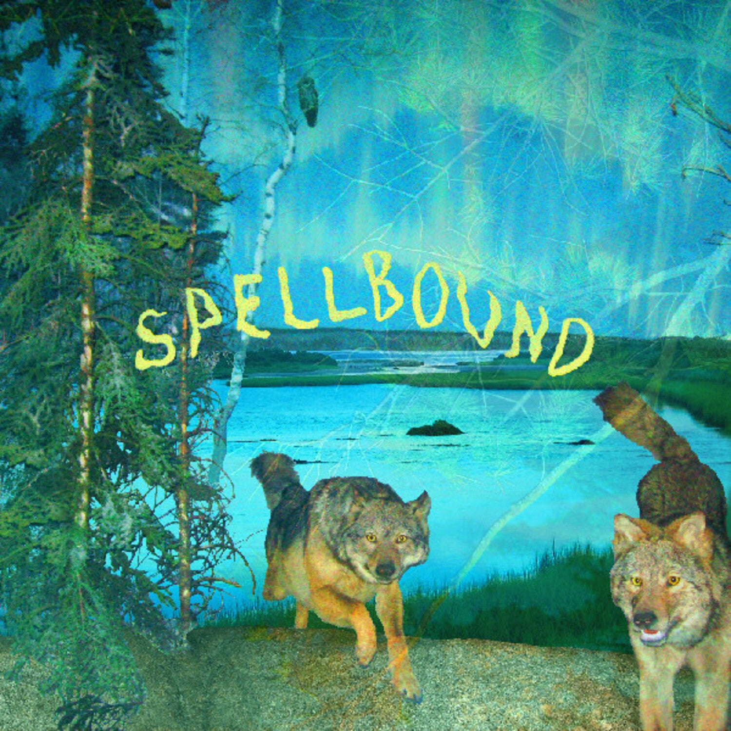 Boyscott - Spellbound (Yellow Vinyl)