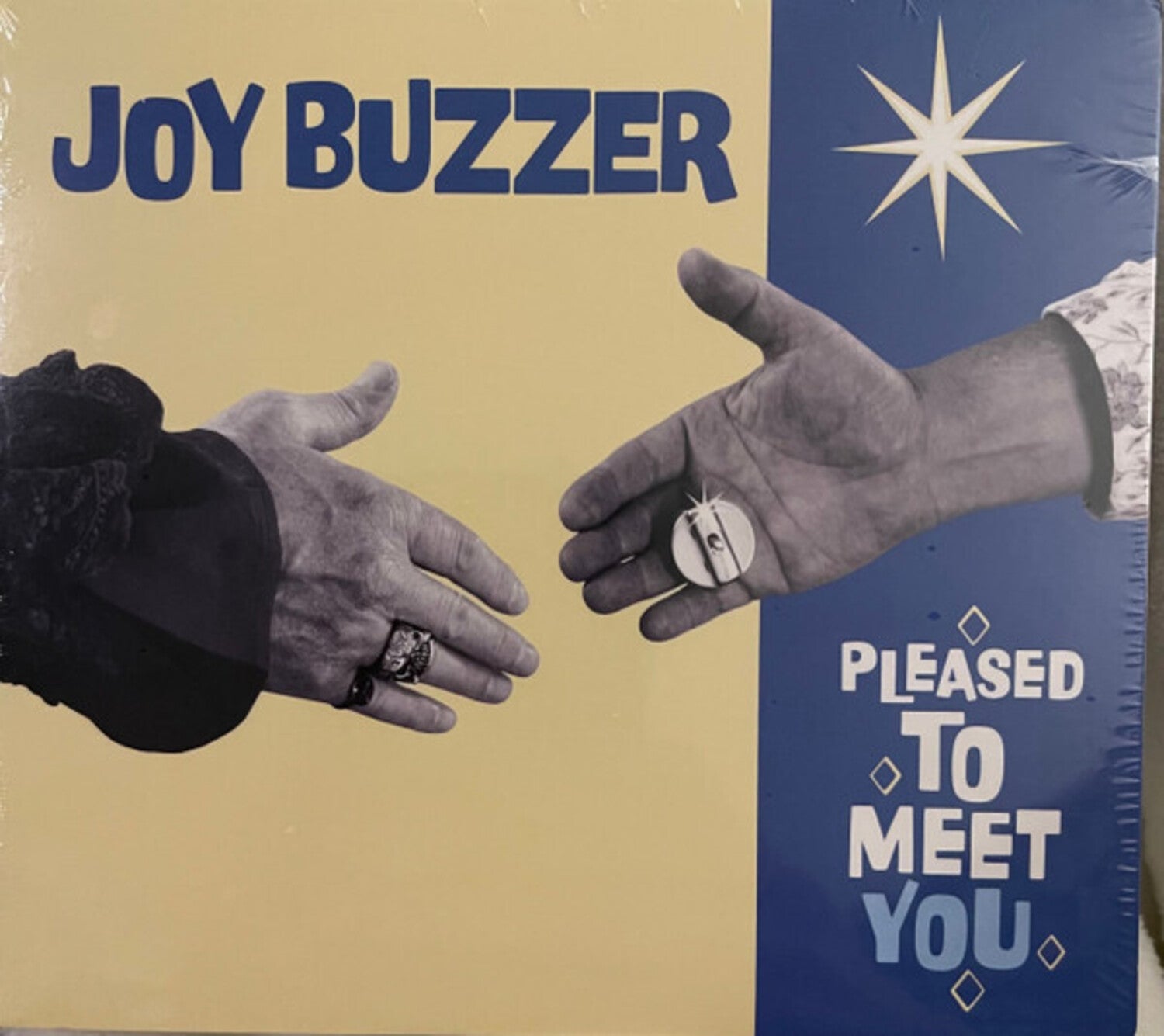 Joy Buzzer - Pleased To Meet You (CD)