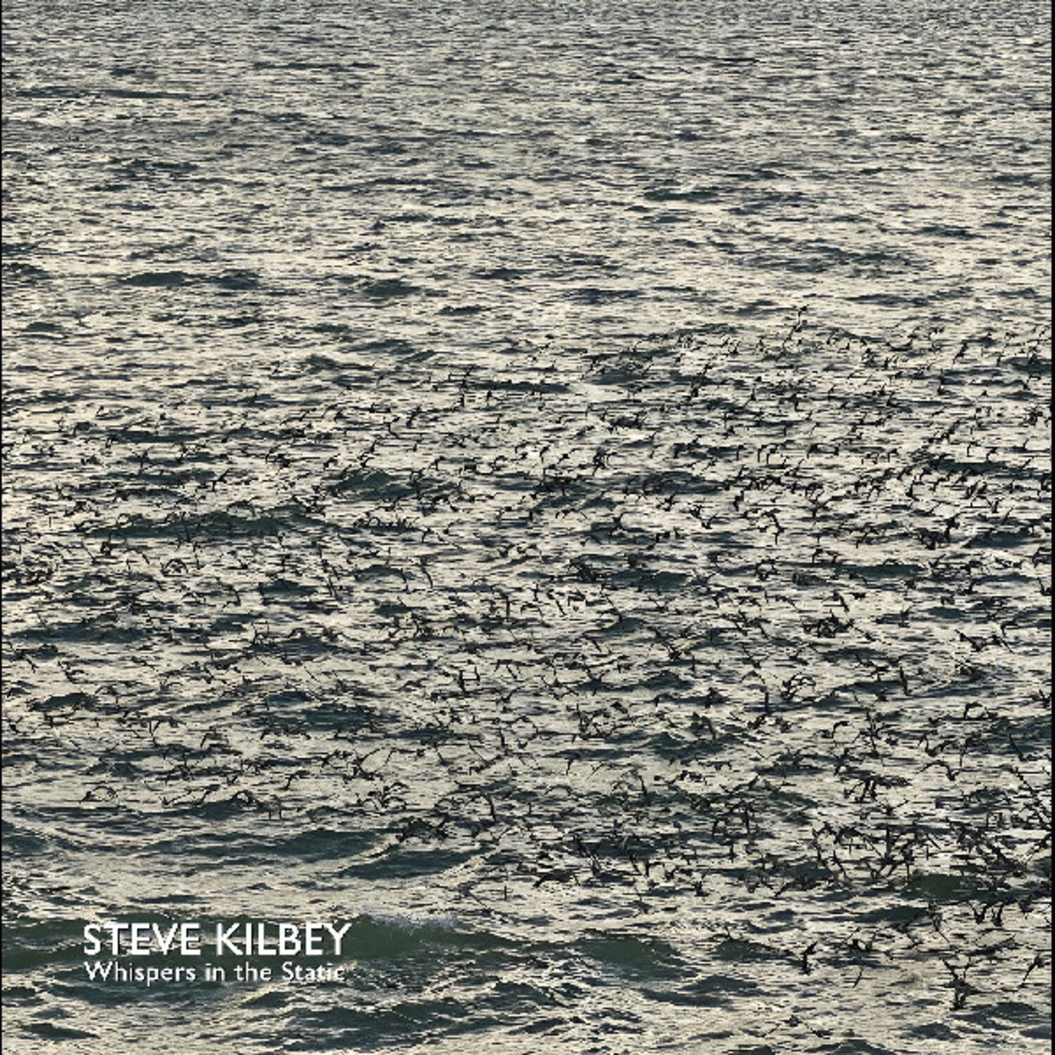 Steve Kilbey - Whispers In The Static (Gray Vinyl)