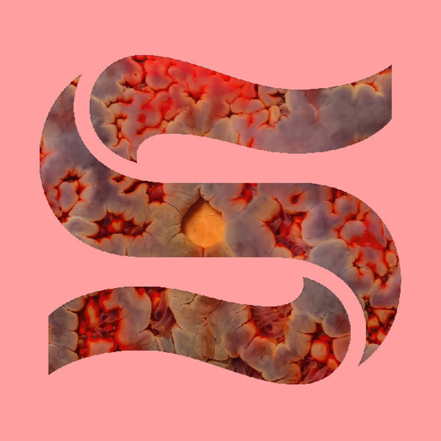 Kaitlyn Aurelia Smith / Joe Goddard - Neptunes