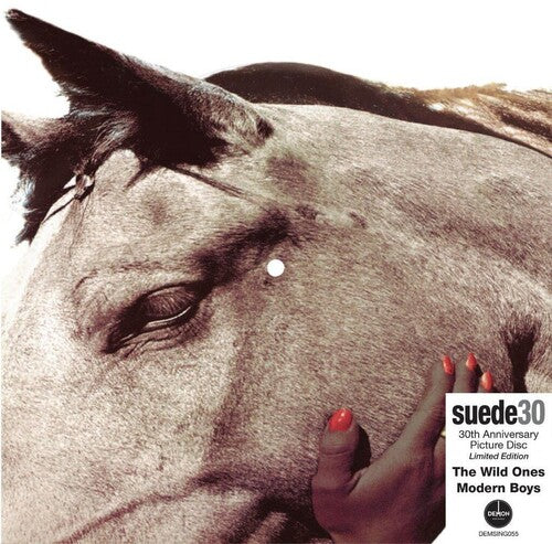 SUEDE - Wild Ones: 30th Anniversary