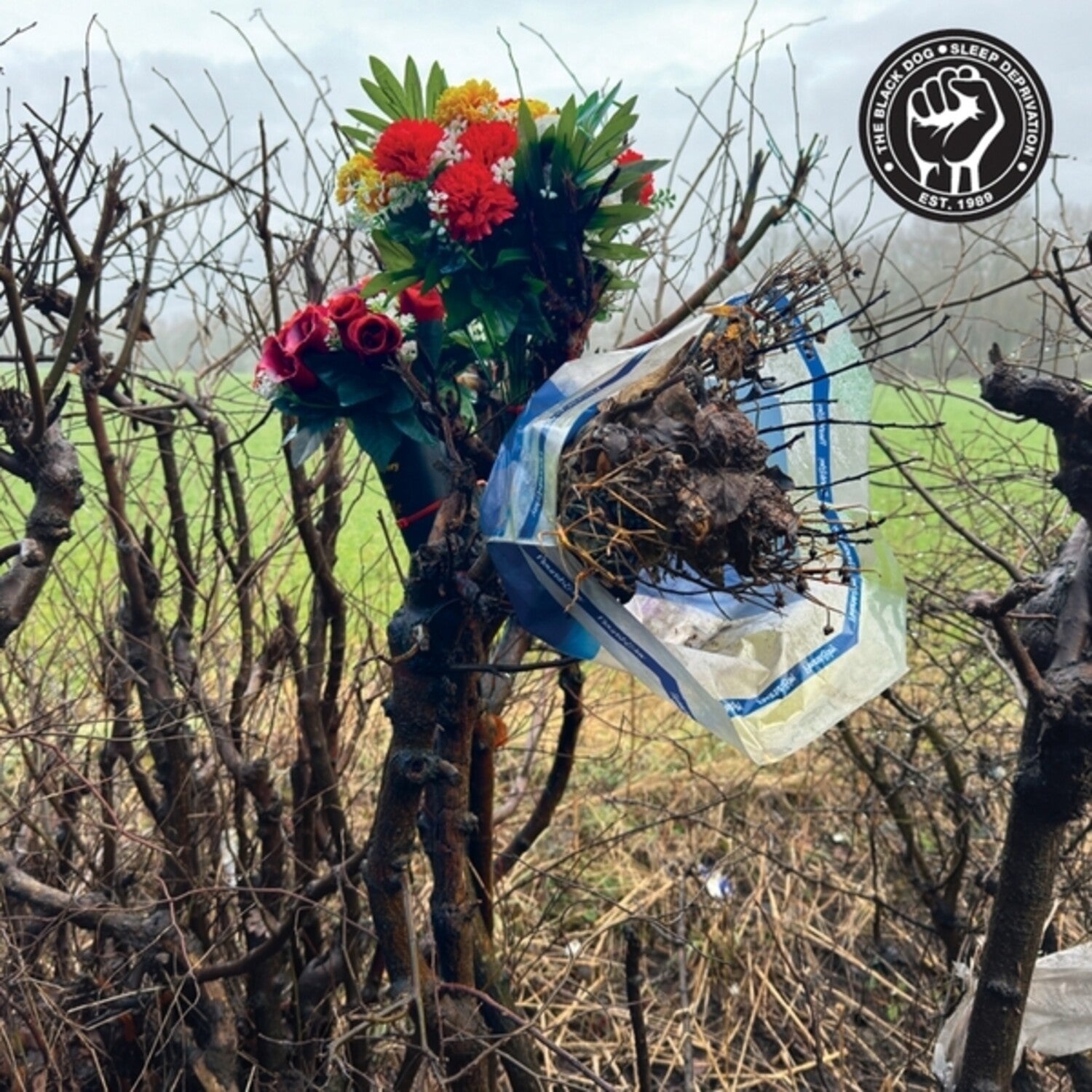 Black Dog - Sleep Deprivation 2xLP