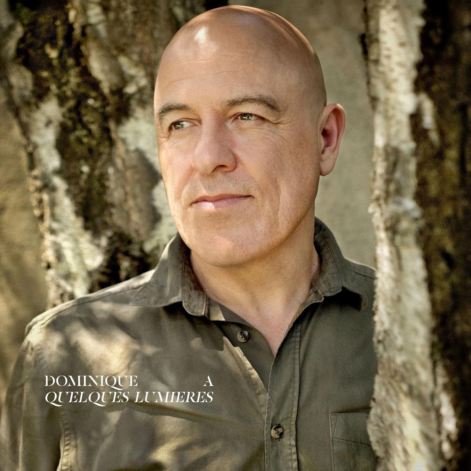 Dominique A - Quelques Lumieres 2xLP