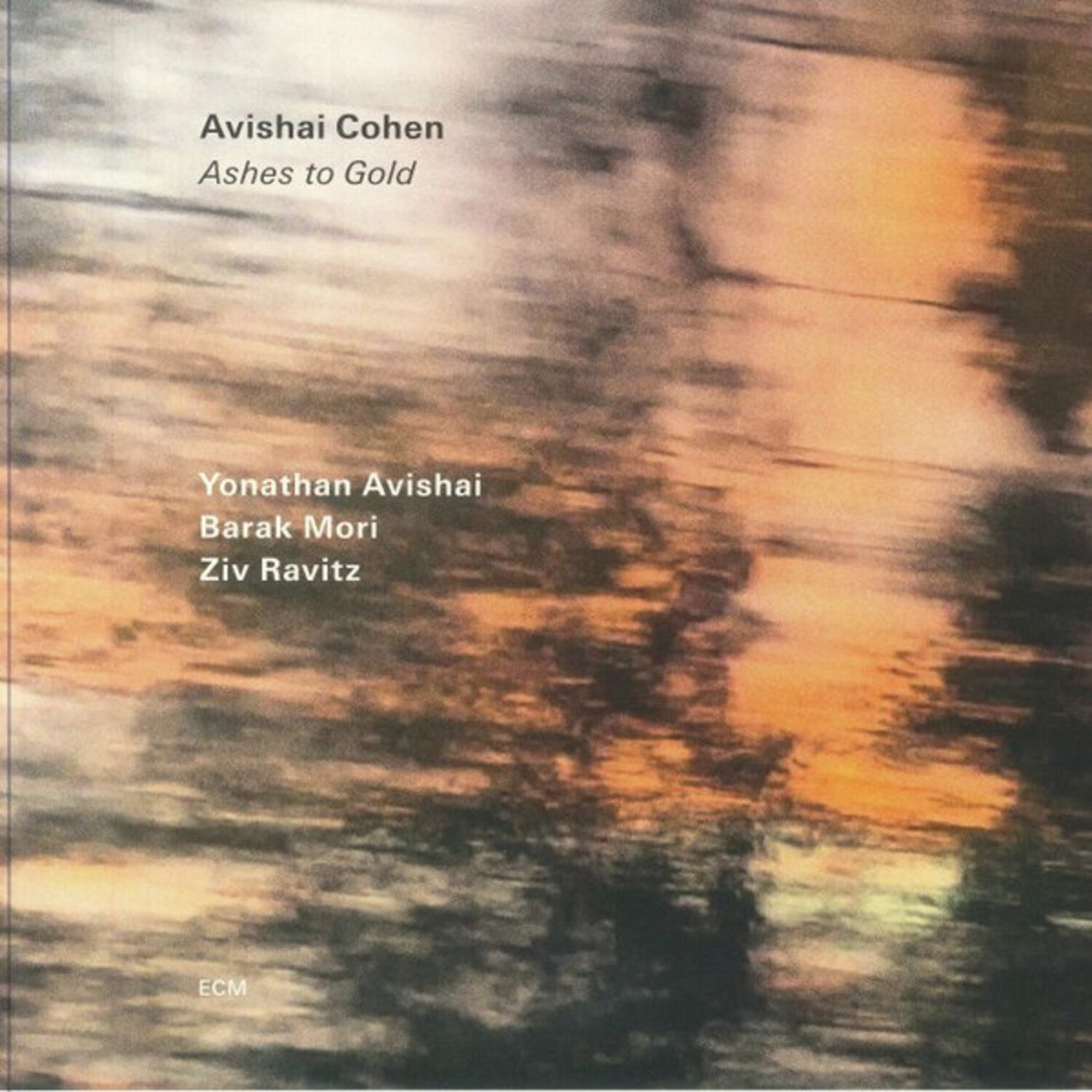 Avishai Cohen - Ashes To Gold