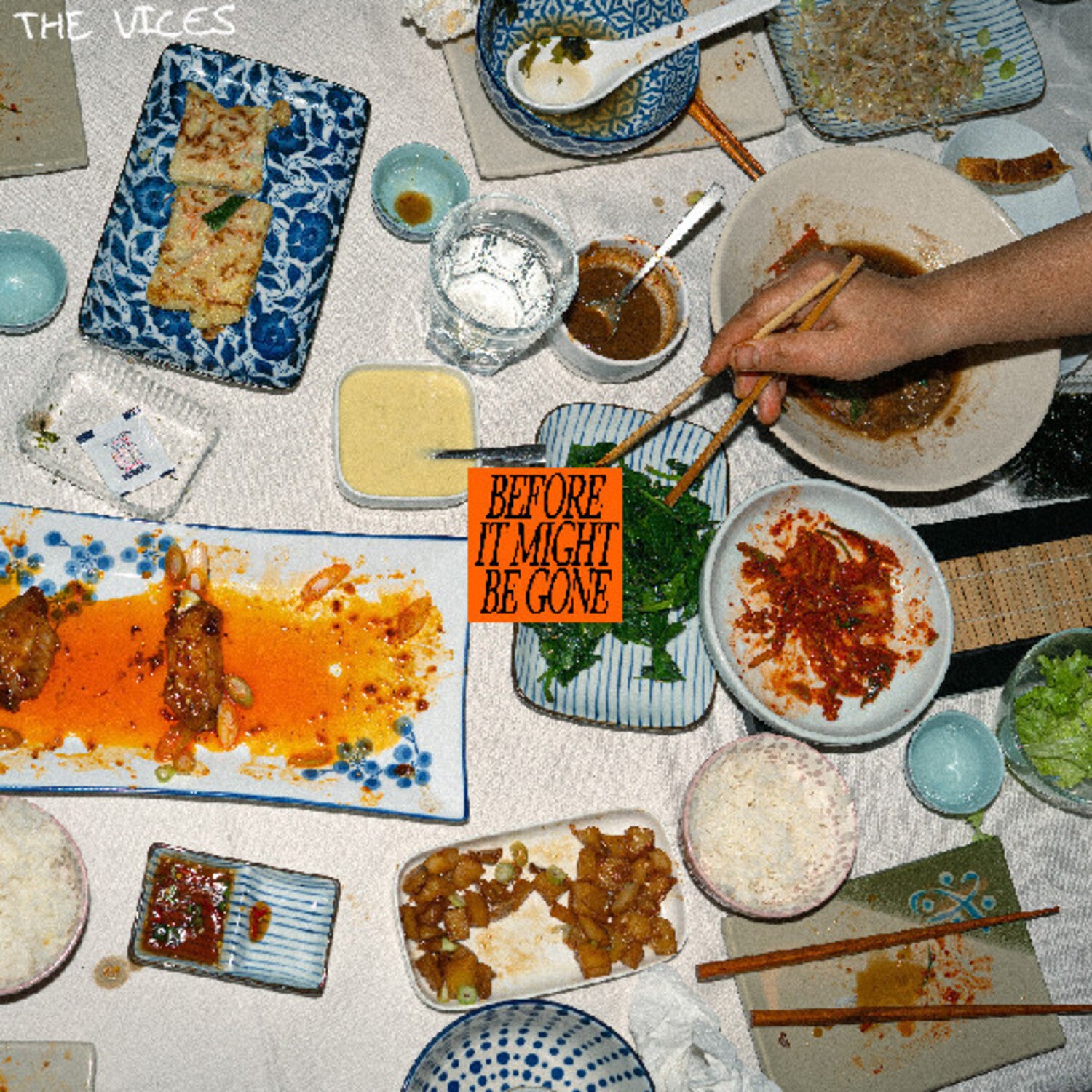 Vices - Before It Might Be Gone (CD)