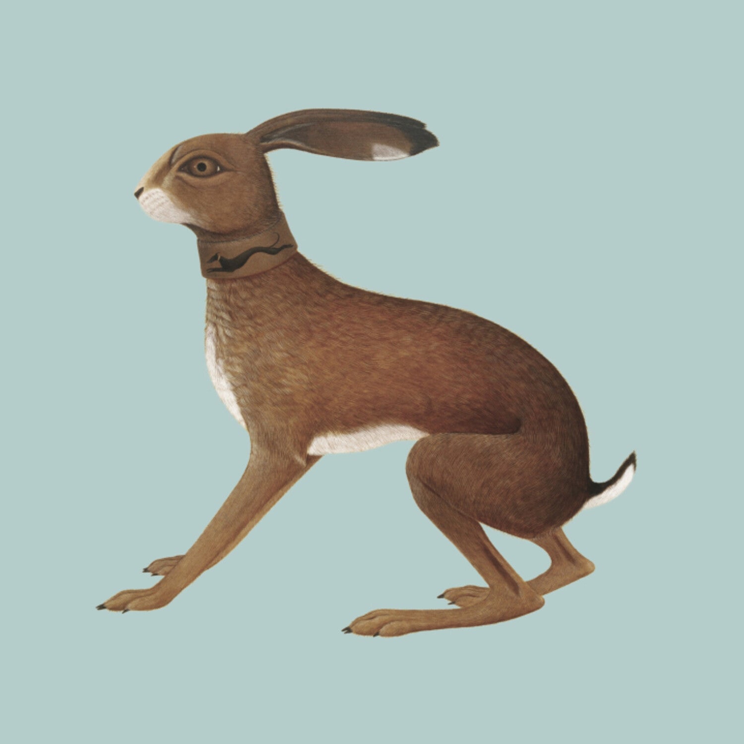 Vashti Bunyan - Lookaftering - Expanded 2xCD (Anniversary Edition)