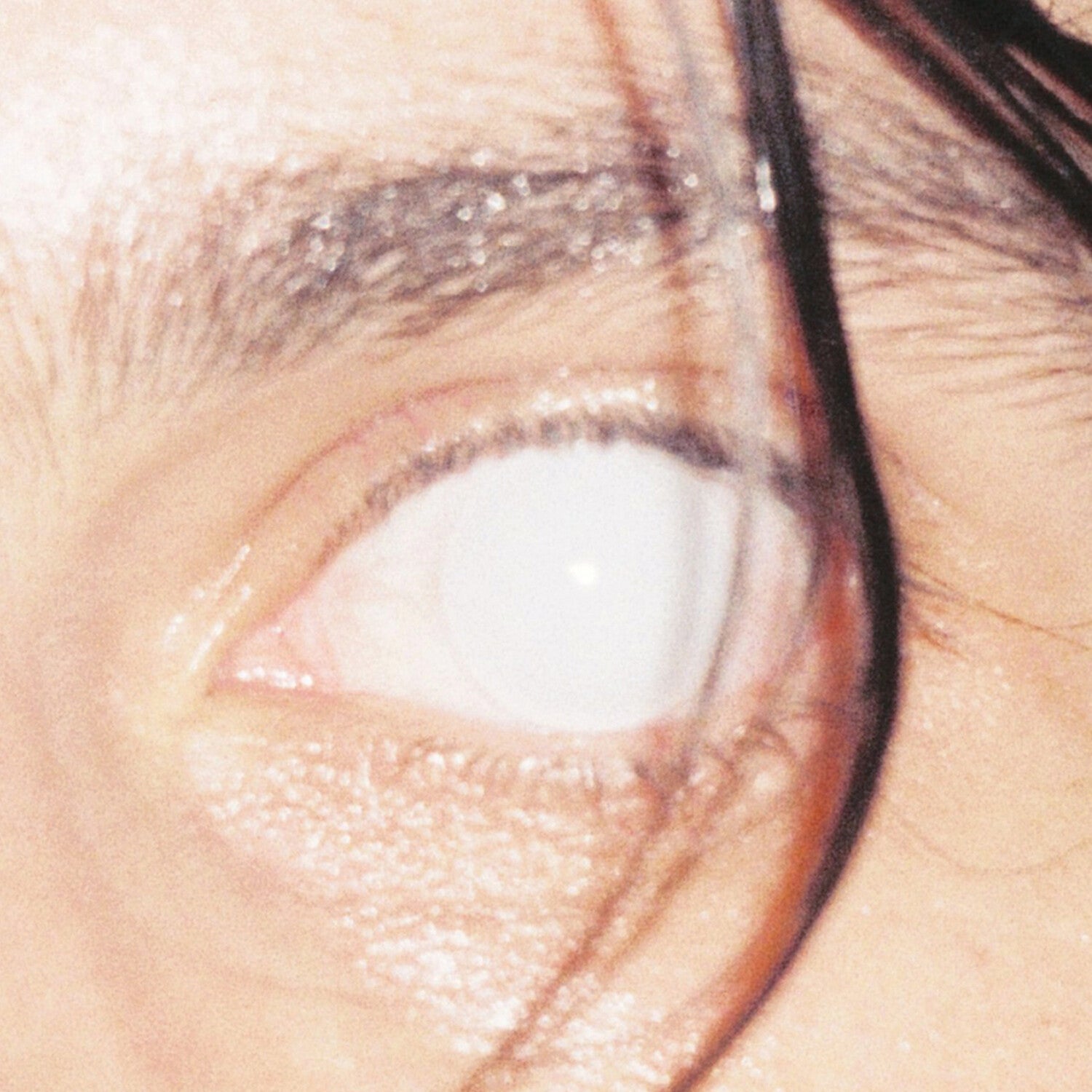 4393037-3305216.jpg