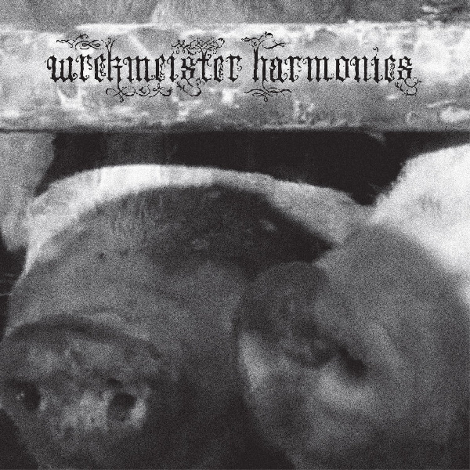 Wrekmeister Harmonies - Flowers In The Spring (Pink Vinyl)