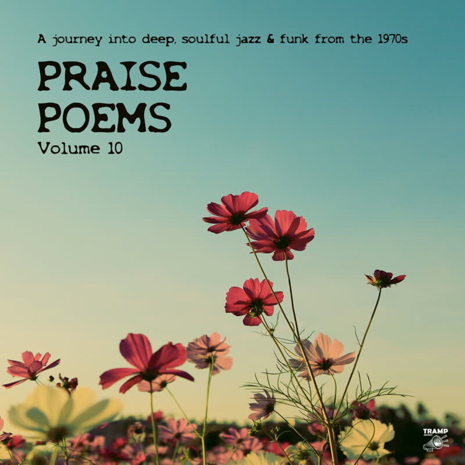 Various Artists - Praise Poems Vol. 10 2xLP