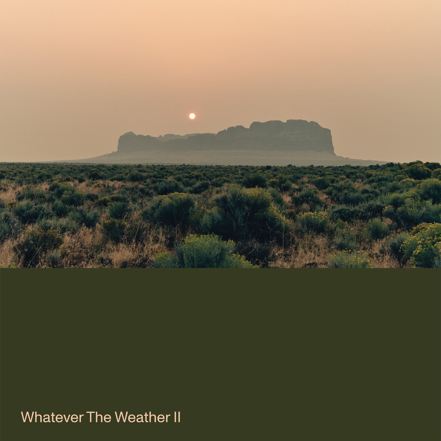 Whatever the Weather II (Green Vinyl)