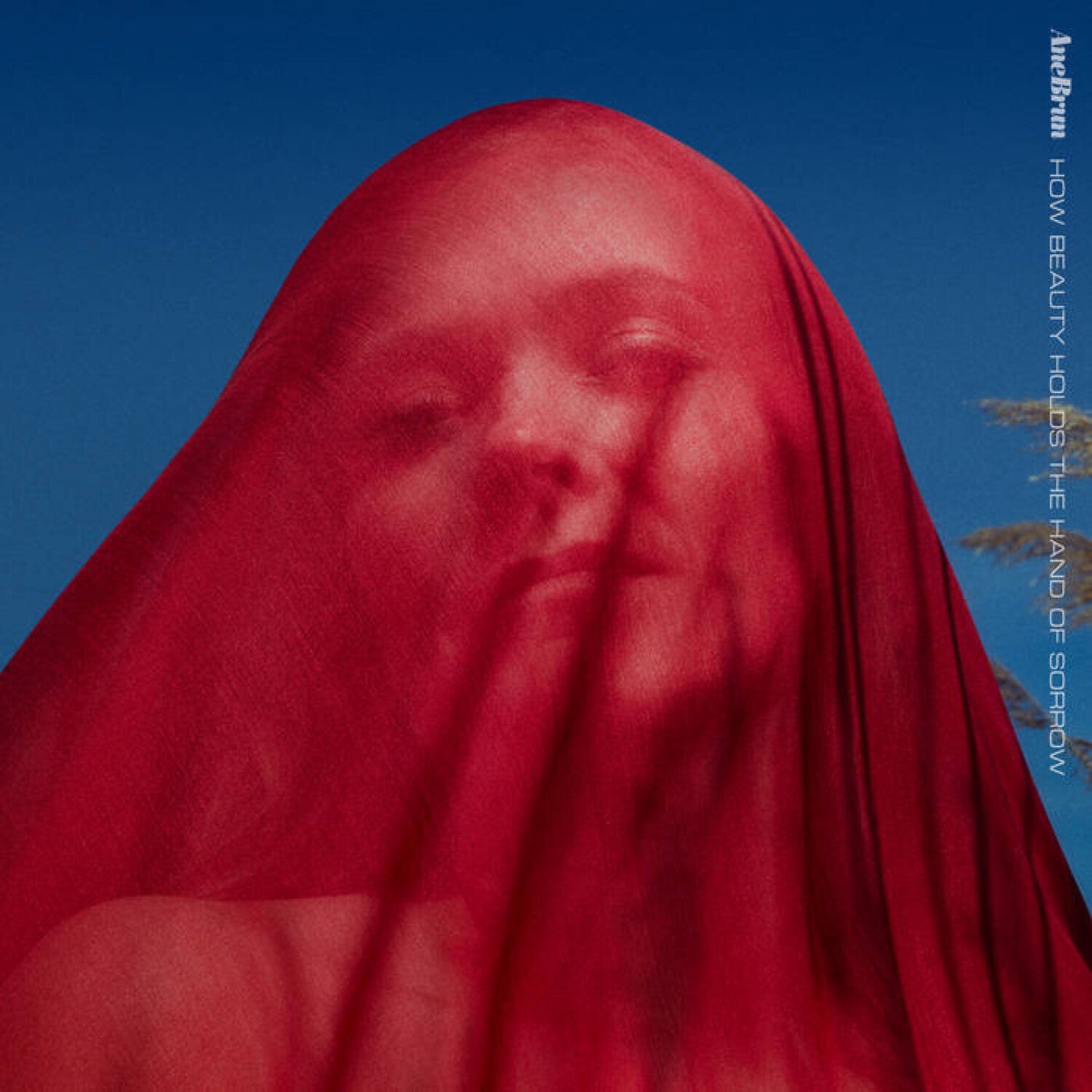Ane Brun - How Beauty Holds The Hand Of Sorrow (Red Vinyl)
