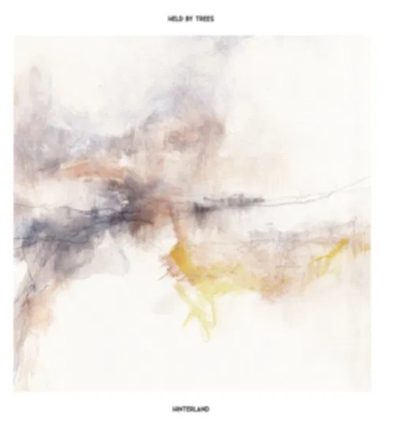 Held by Trees - Hinterland - Deluxe Edition with CD & DVD 3xLP (Deluxe)