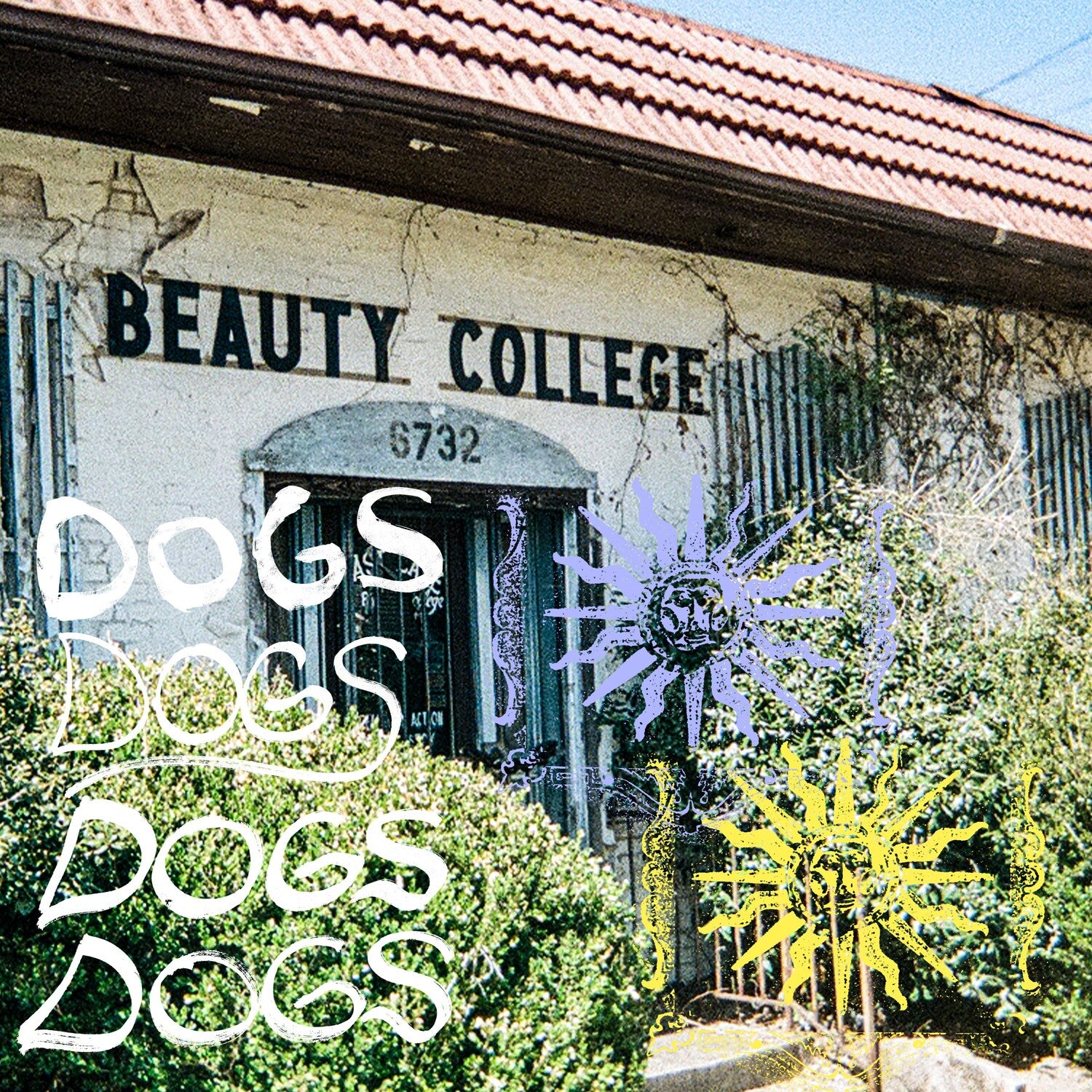 Cash Langdon - Dogs (Yellow Vinyl)