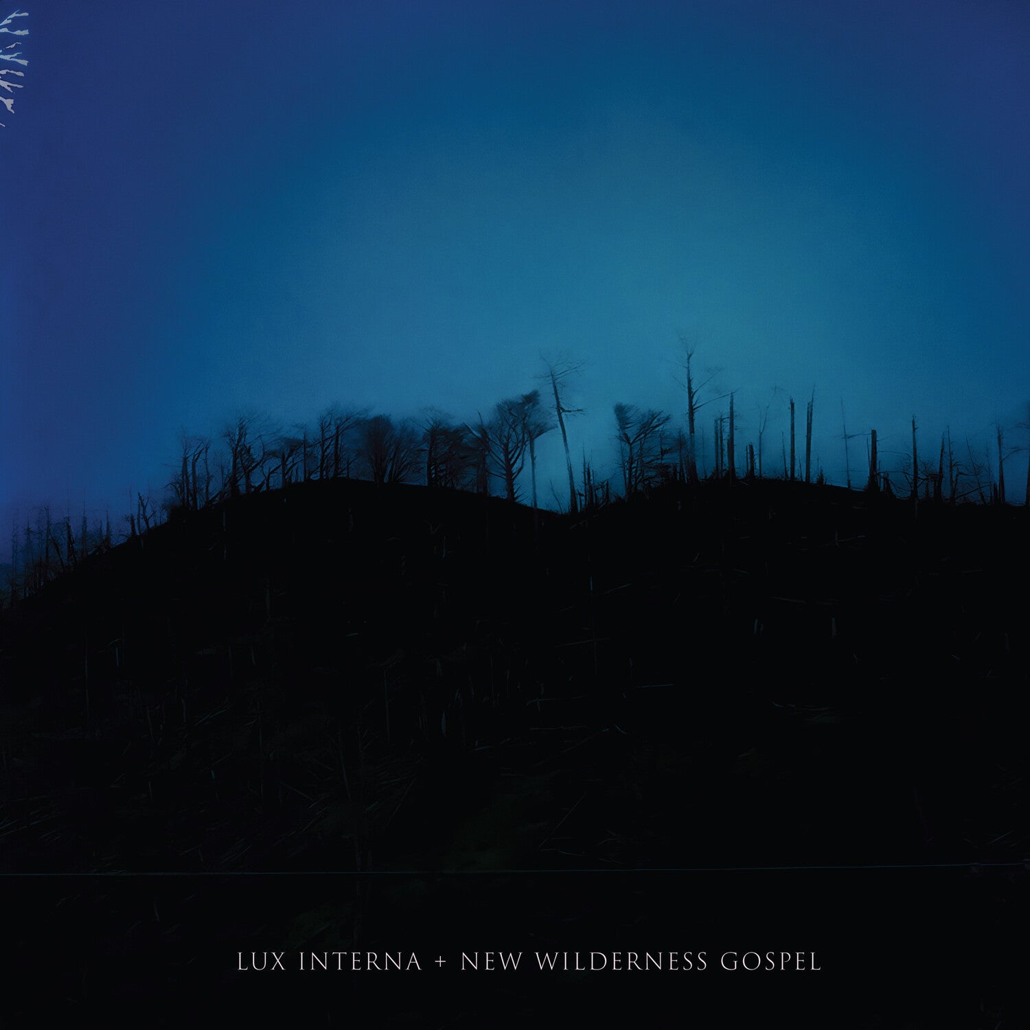 Lux Interna - New Wilderness Gospel (Collector's Edition) (CD)