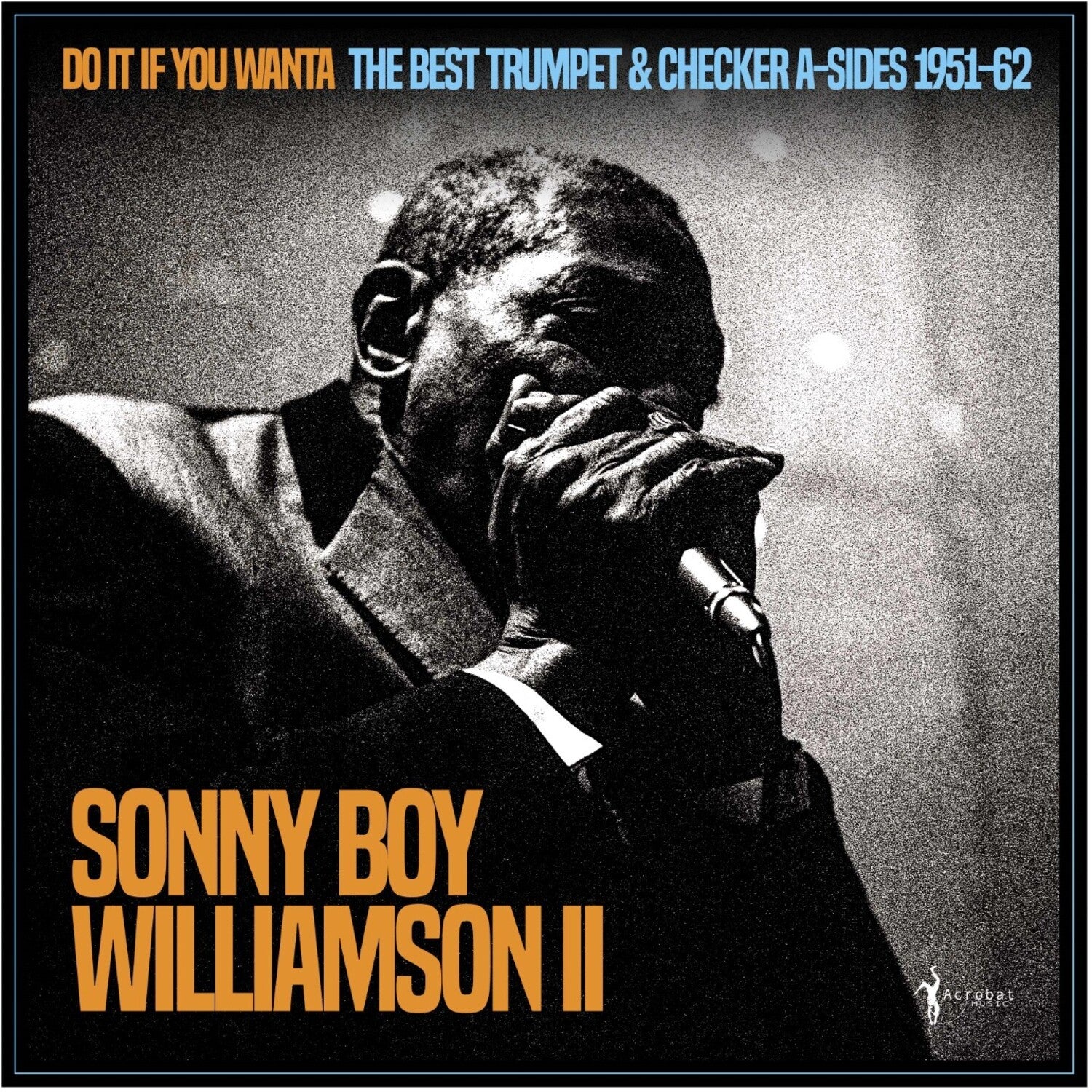 Sonny Boy Williamson II - Do It If You Wanta: The Best Trumpet & Checker A-sides 1951-62