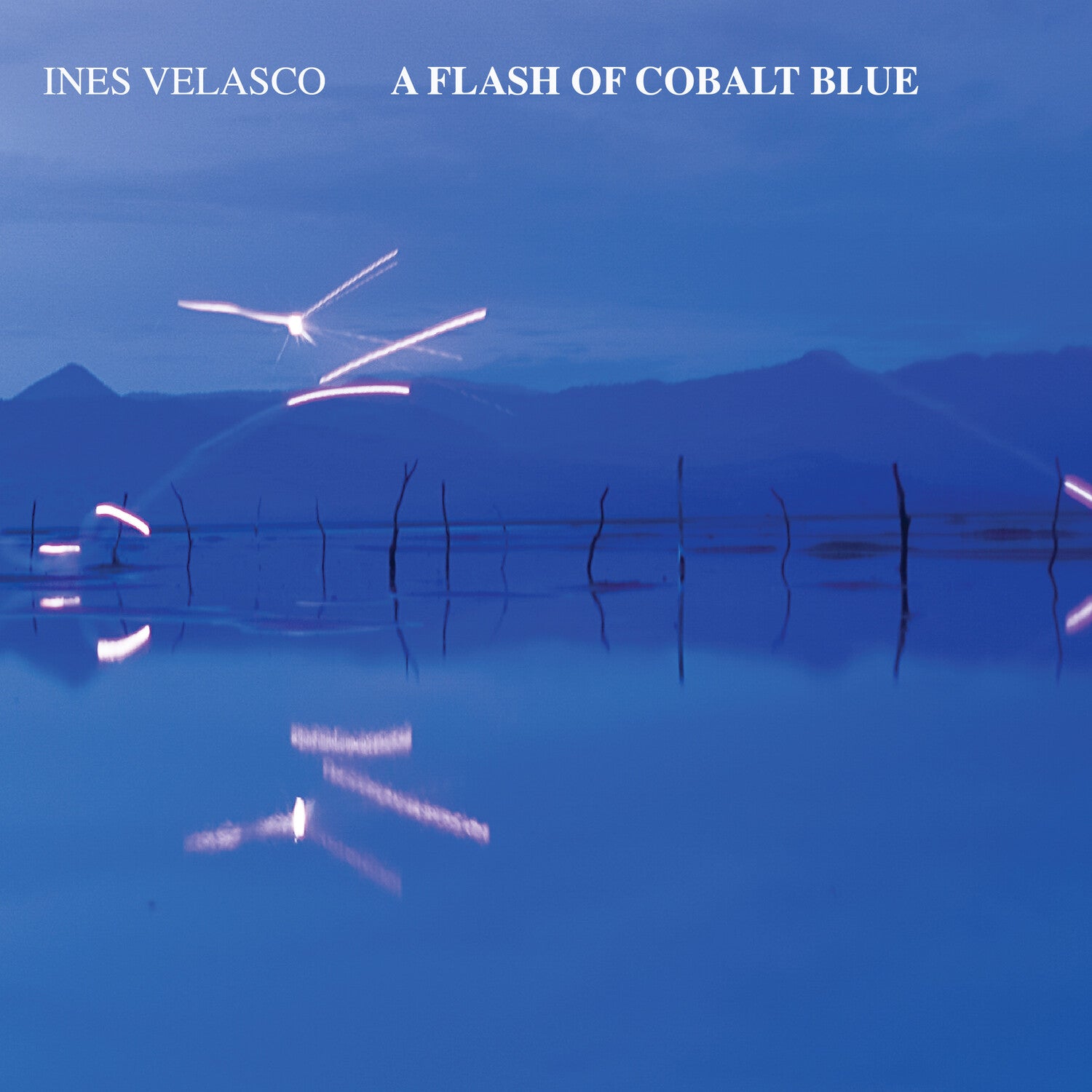 Ines Velasco - A Flash of Cobalt Blue