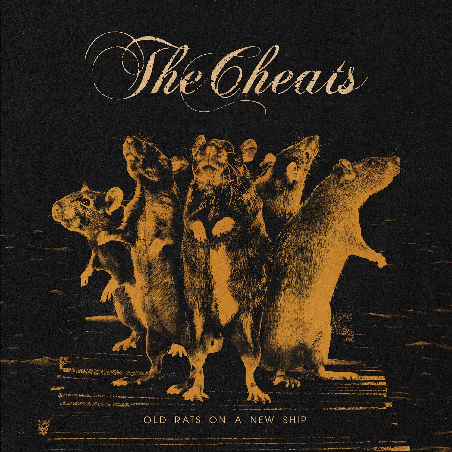 Cheats - Old Rats On A New Ship (CD)