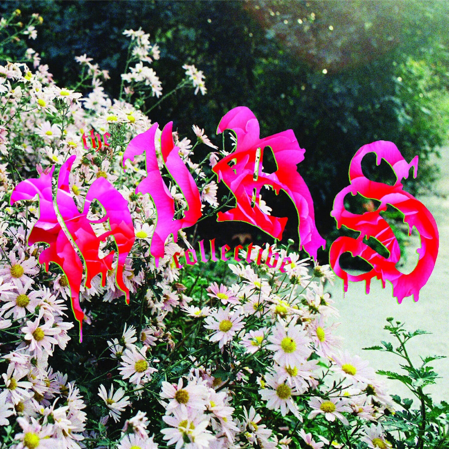 Hirs Collective - We're Still Here (White Vinyl)