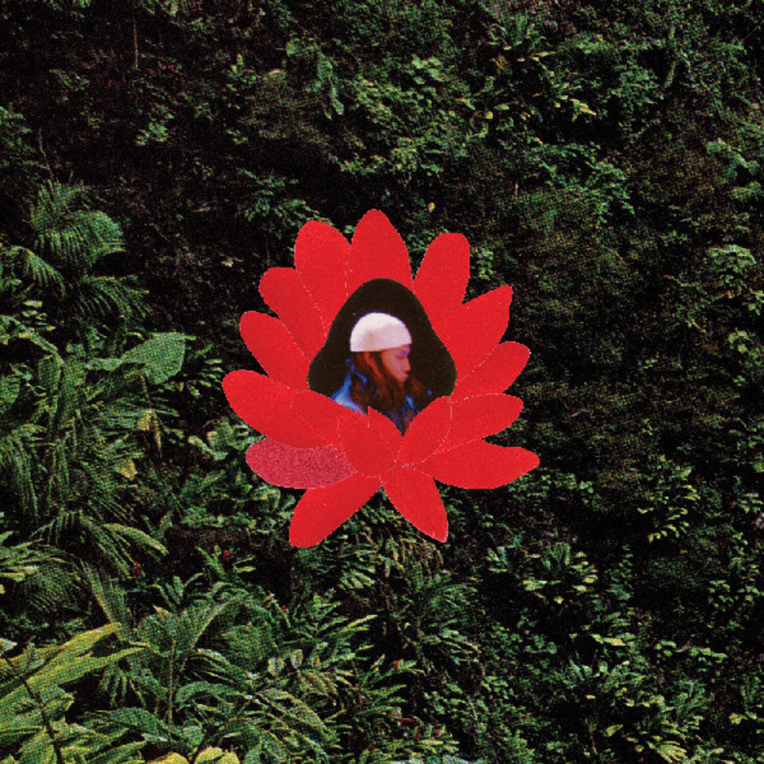Lionmilk - When The Flowers Bloom