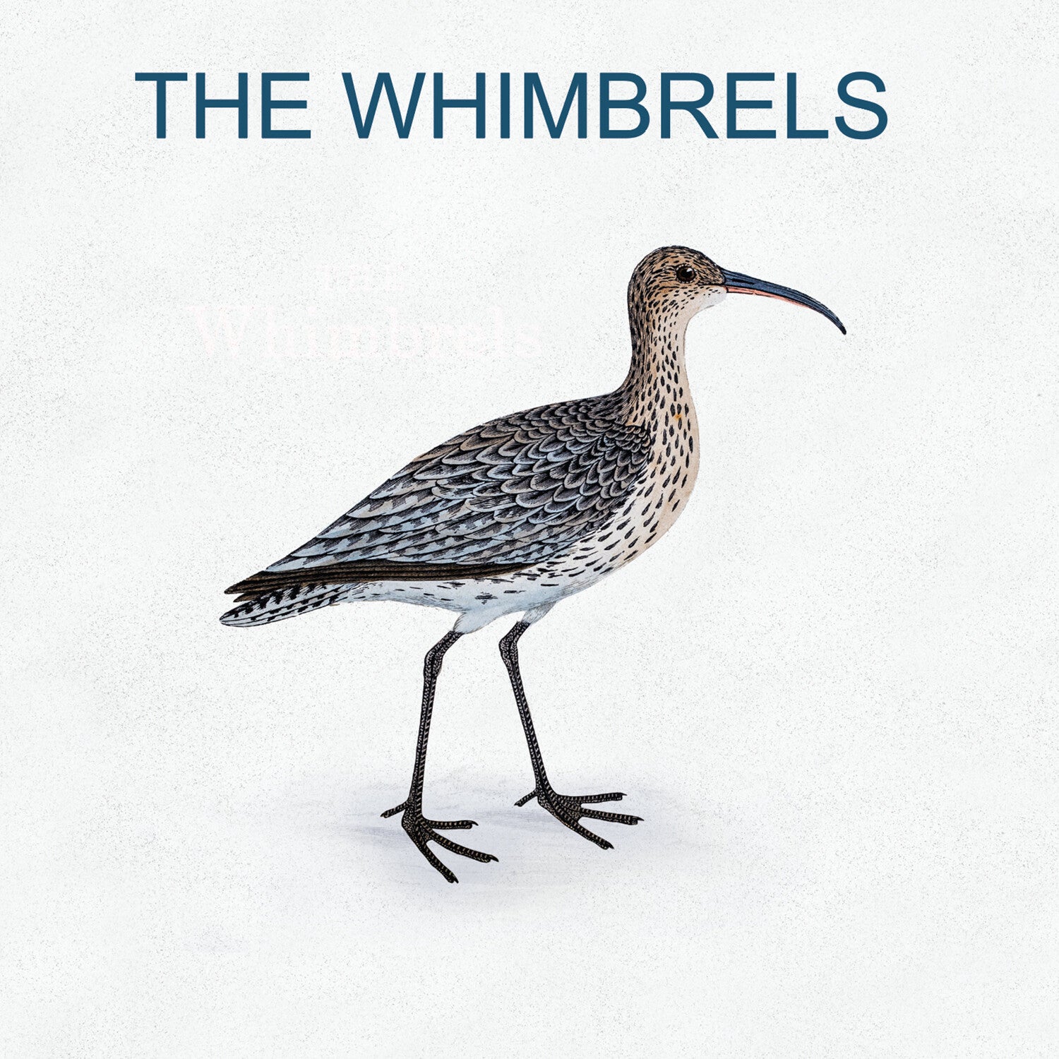 Whimbrels - The Whimbrels (CD)