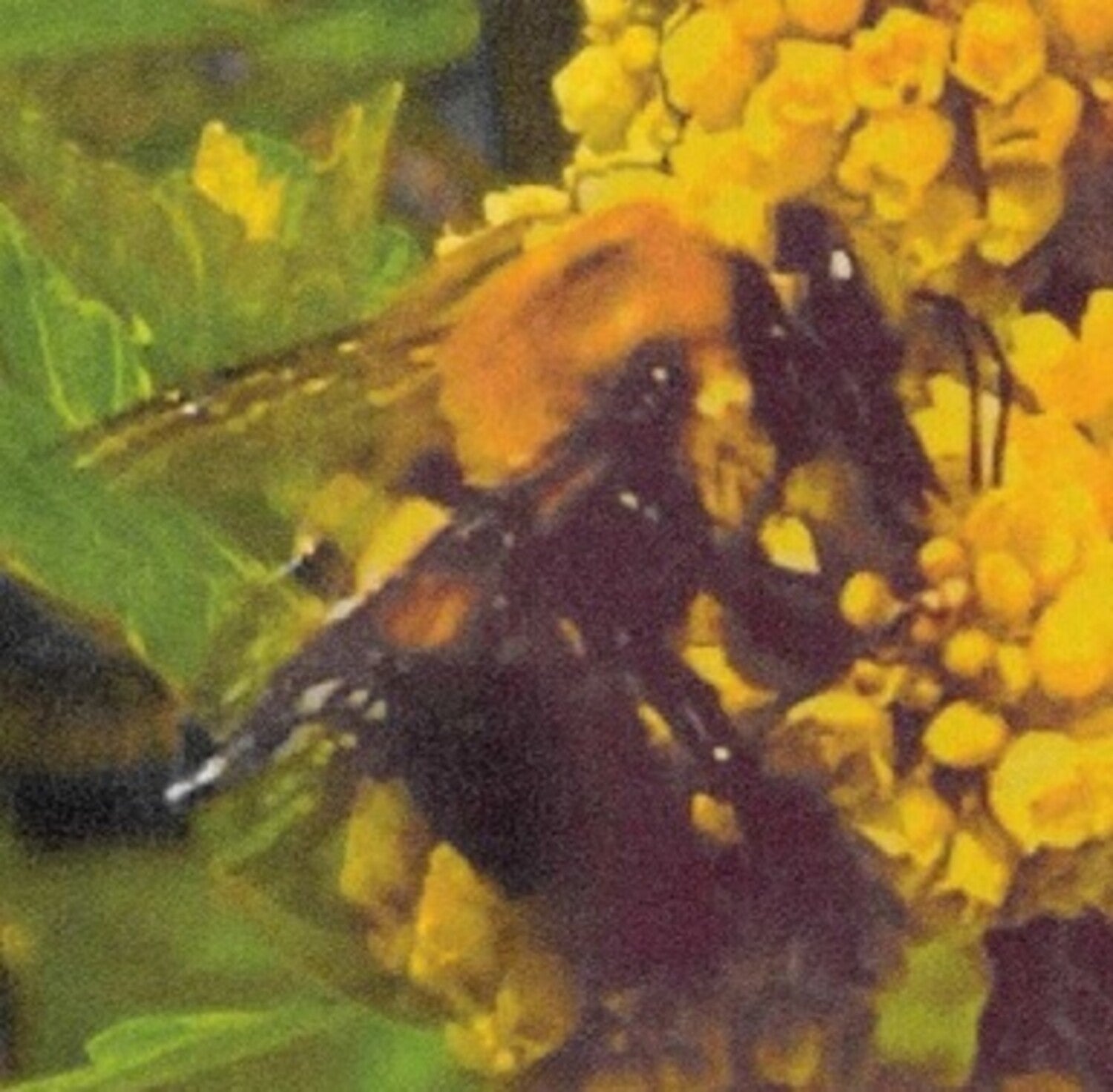 4425537-3392285.jpg