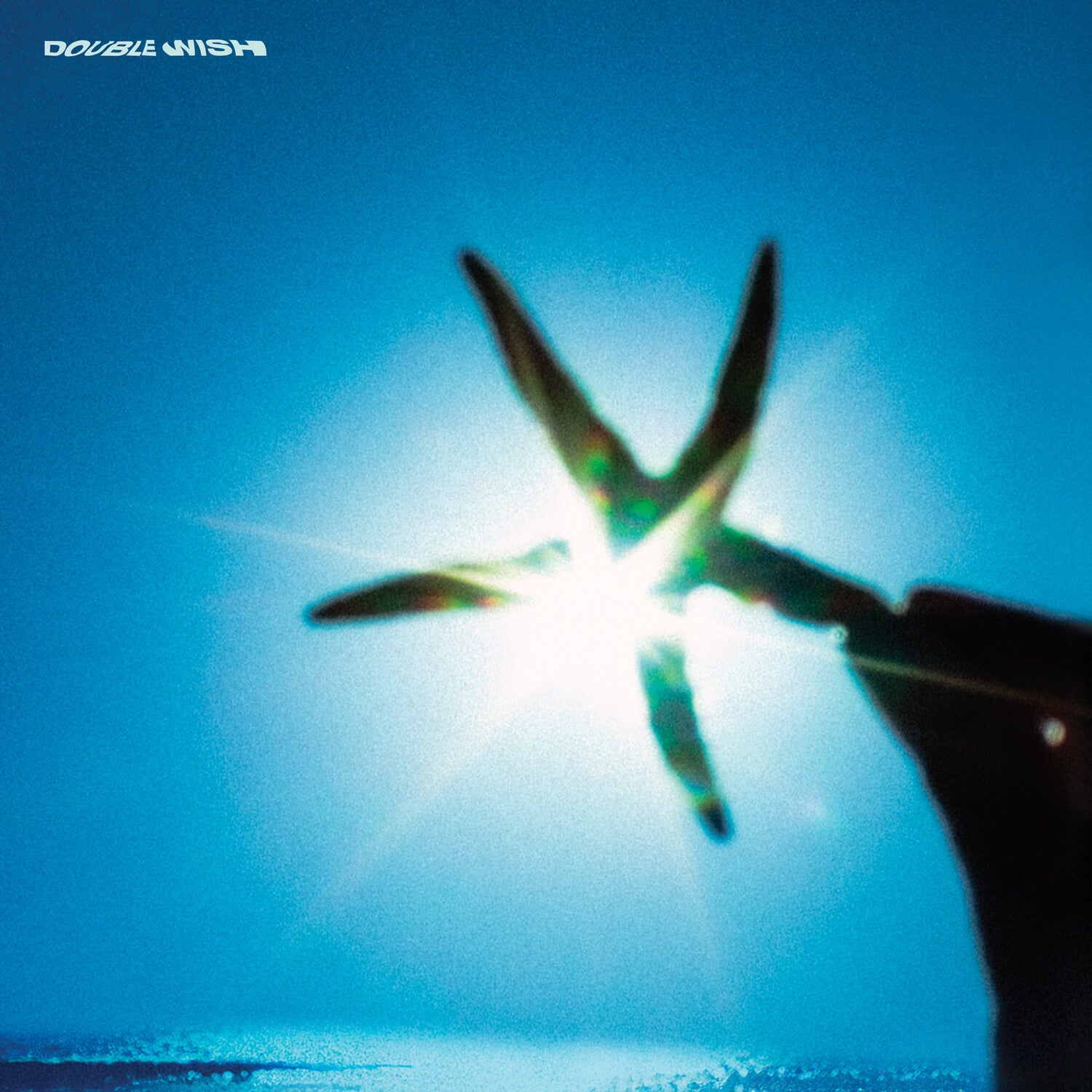 Double Wish (Blue Vinyl)