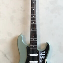 Axe Hvn Ks555 K W Shepherd Fender Strat Kws Grn Gt - Axe Hvn Ks555 K W Shepherd Fender Strat Kws Grn Gt