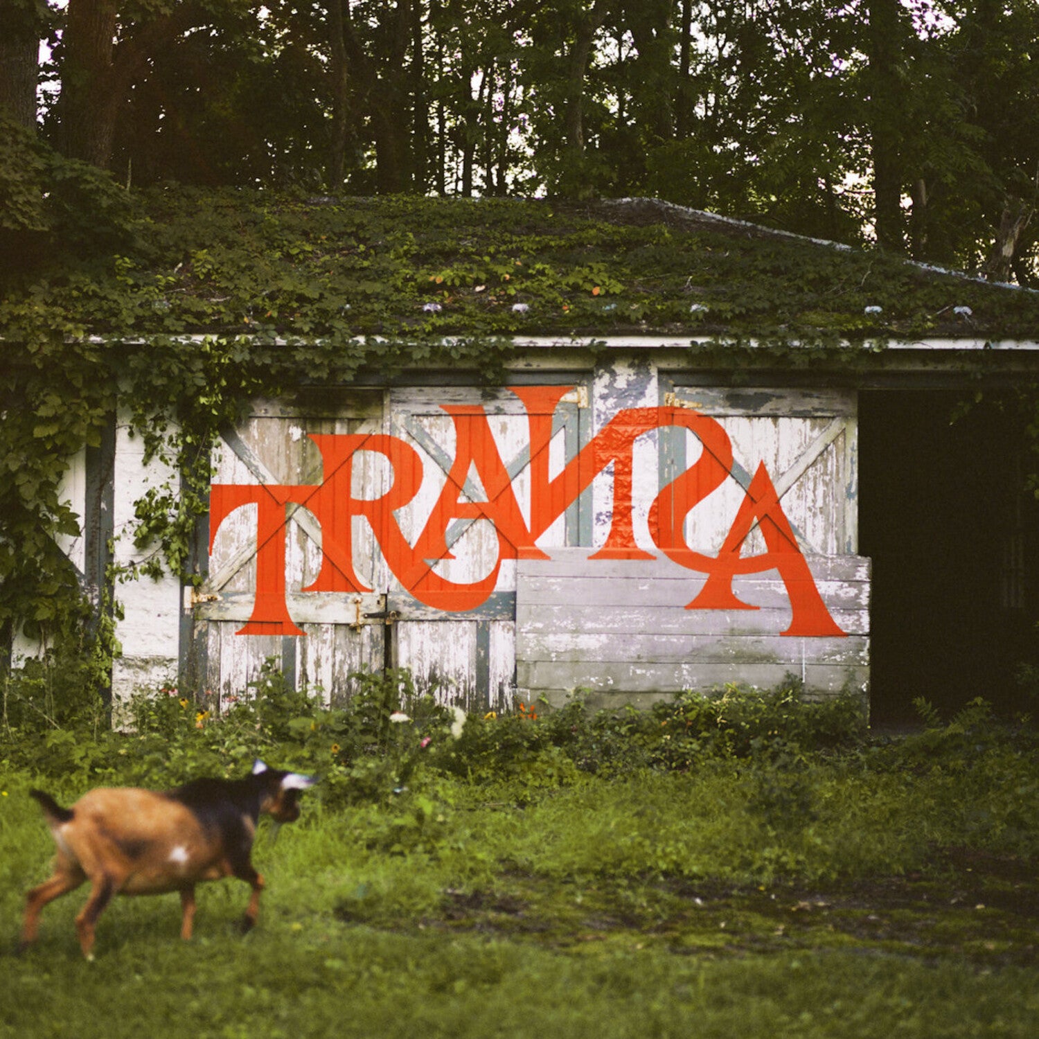Various Artists - Transa 6xLP (Deluxe)