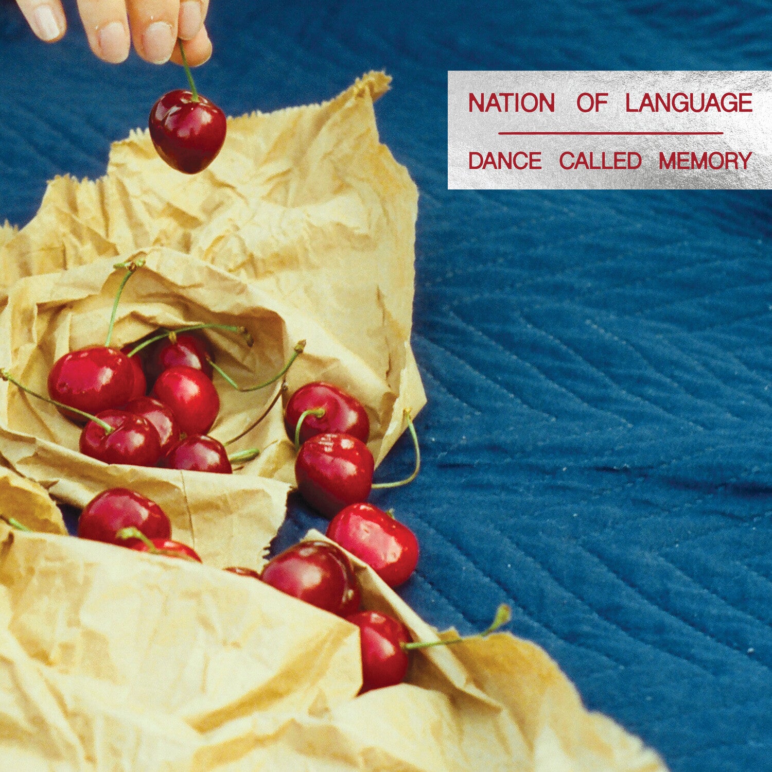 Nation of Language - Dance Called Memory - Clear w/ Black & Blue mix (Clear Vinyl)