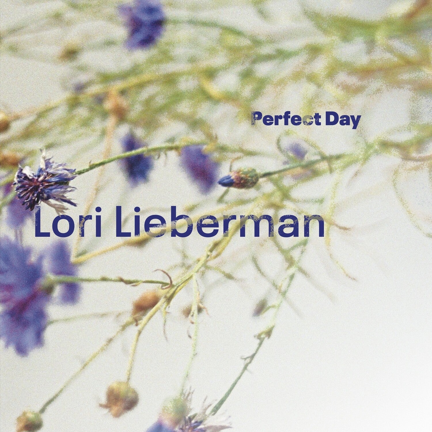 Lori Lieberman - Perfect Day (Limited Edition)