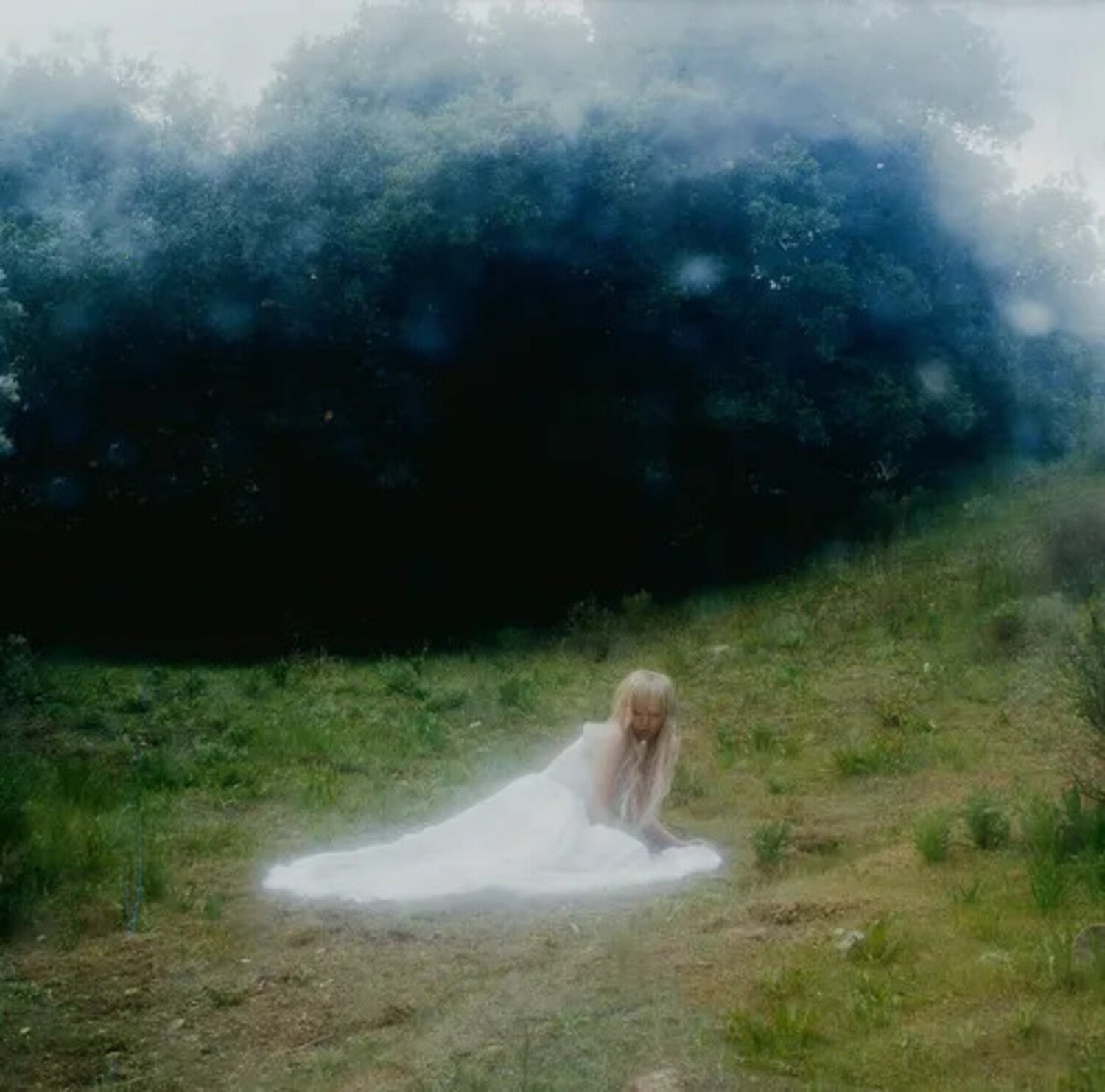 Wisp - If Not Winter (2025)