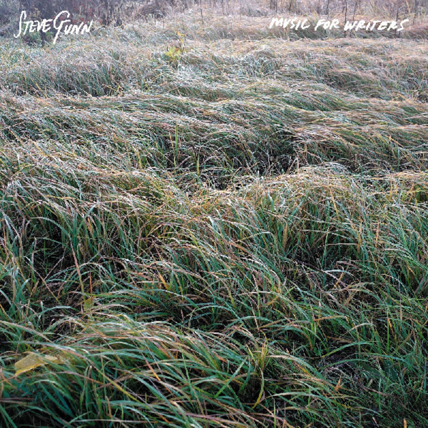 Steve Gunn - Music For Writers (Orange Vinyl)