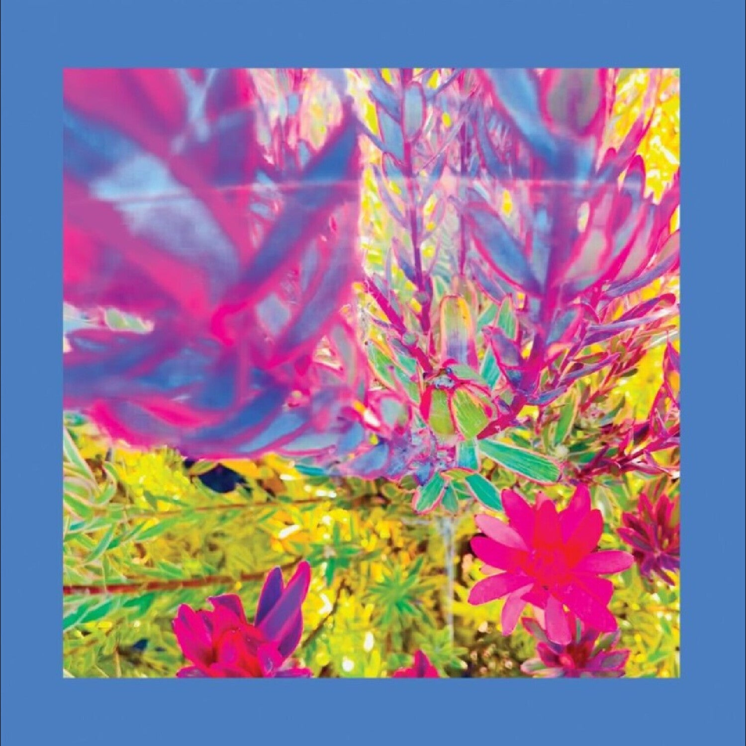 Reds Pinks & Purples - The Past is a Garden I Never Fed (Pink Vinyl)