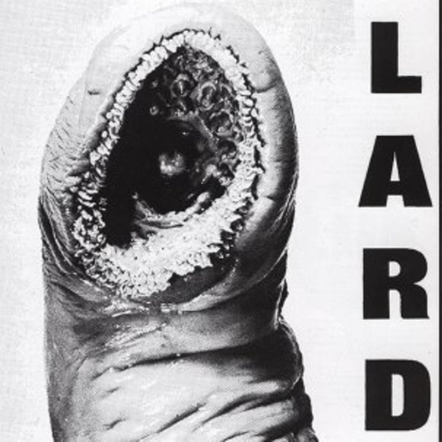 Lard - Power Of Lard (White Vinyl)