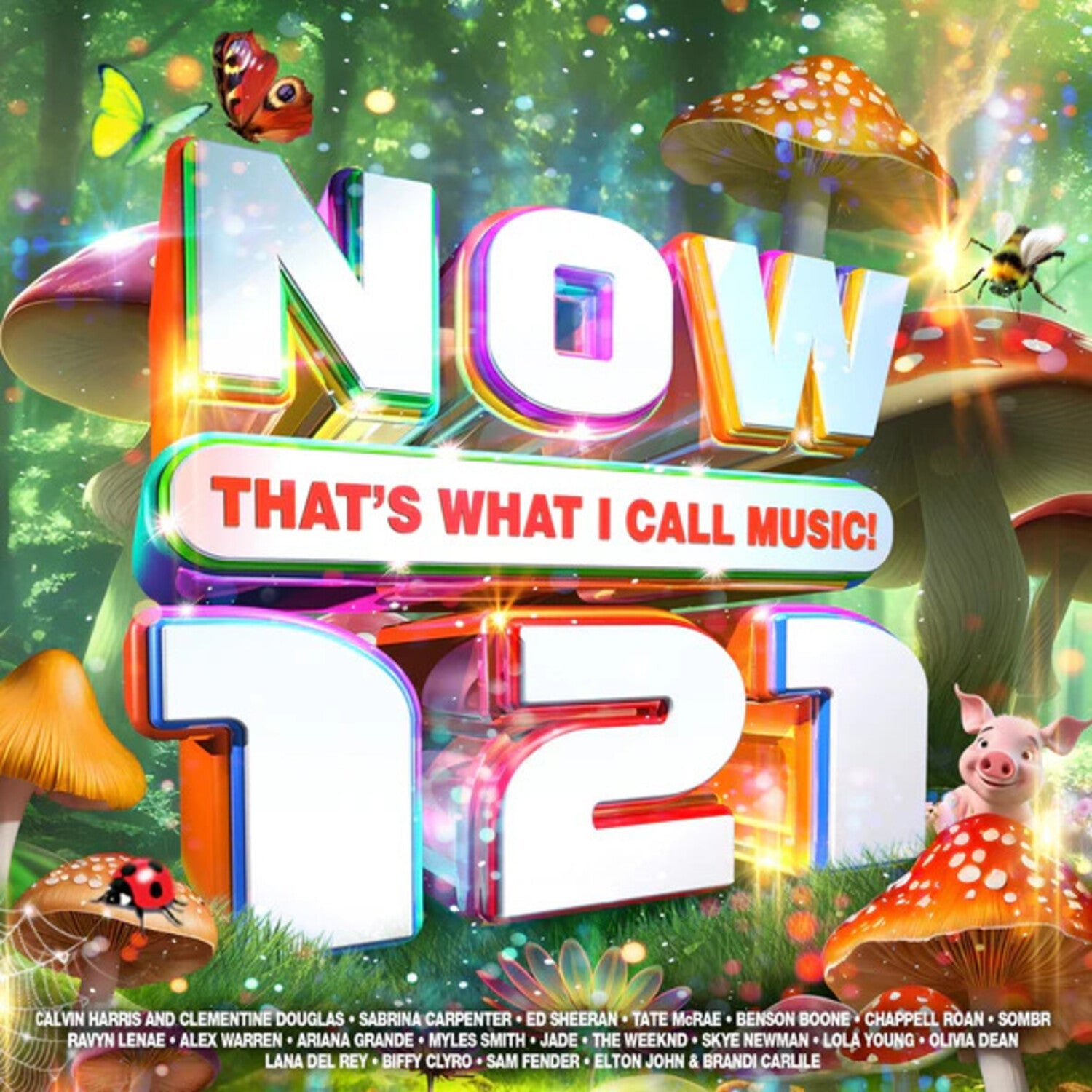 Various Artists - Now That's What I Call Music 121