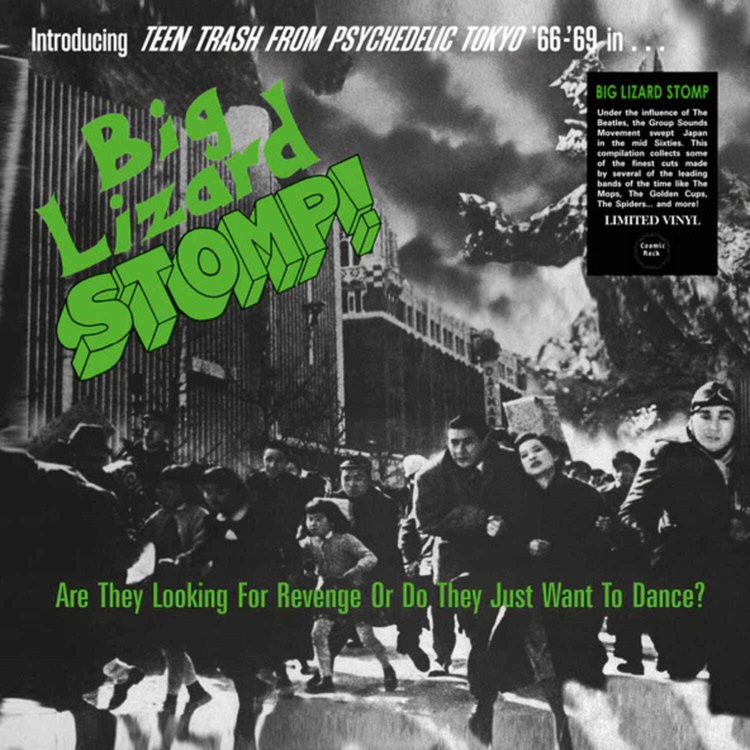 Big Lizard Stomp (Teen Trash From Psychedelic - Big Lizard Stomp (TTrash From Psychedelic Tokyo '66-'69)