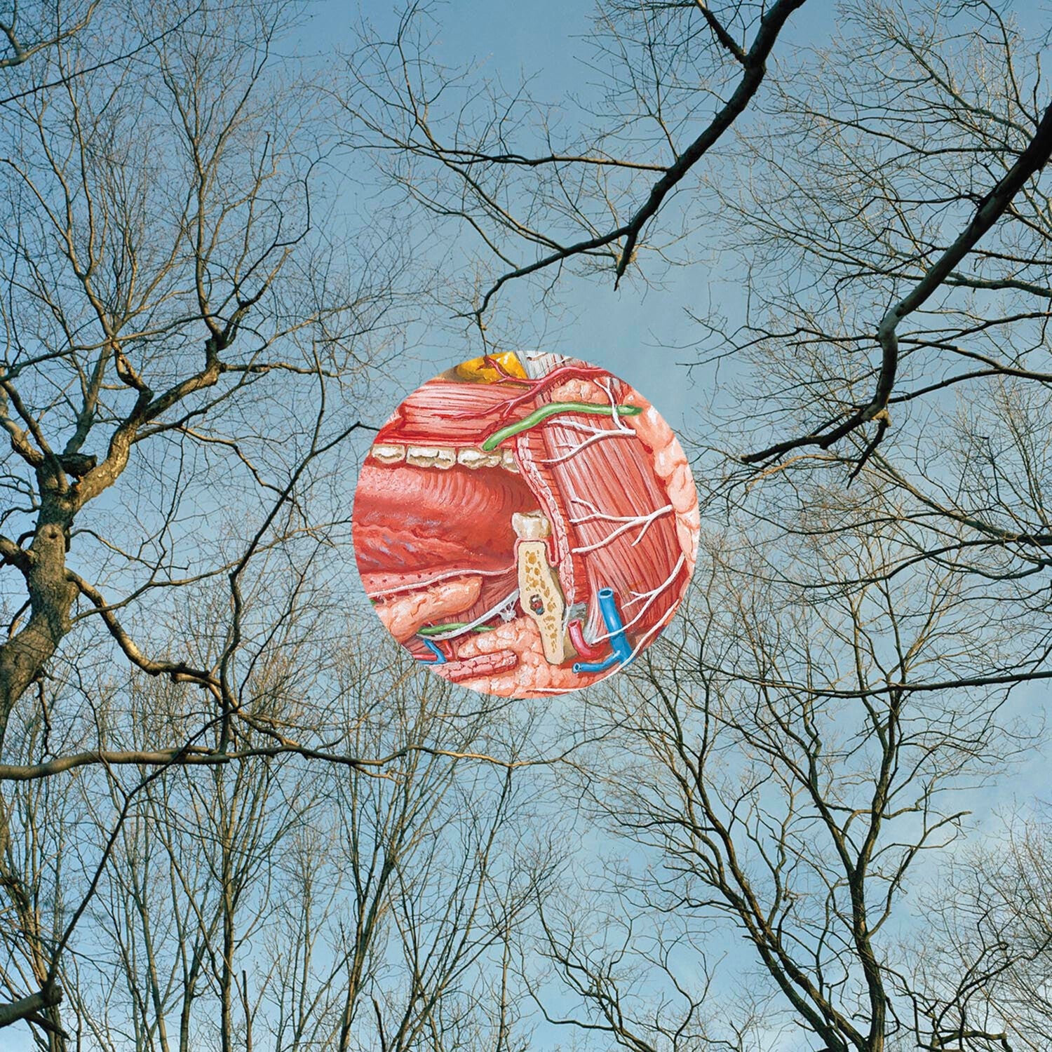 They Might Be Giants - Glean (Clear Vinyl)