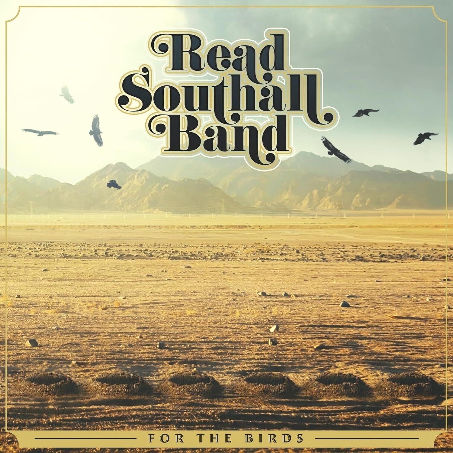 Read Southall Band - For The Birds (CD)