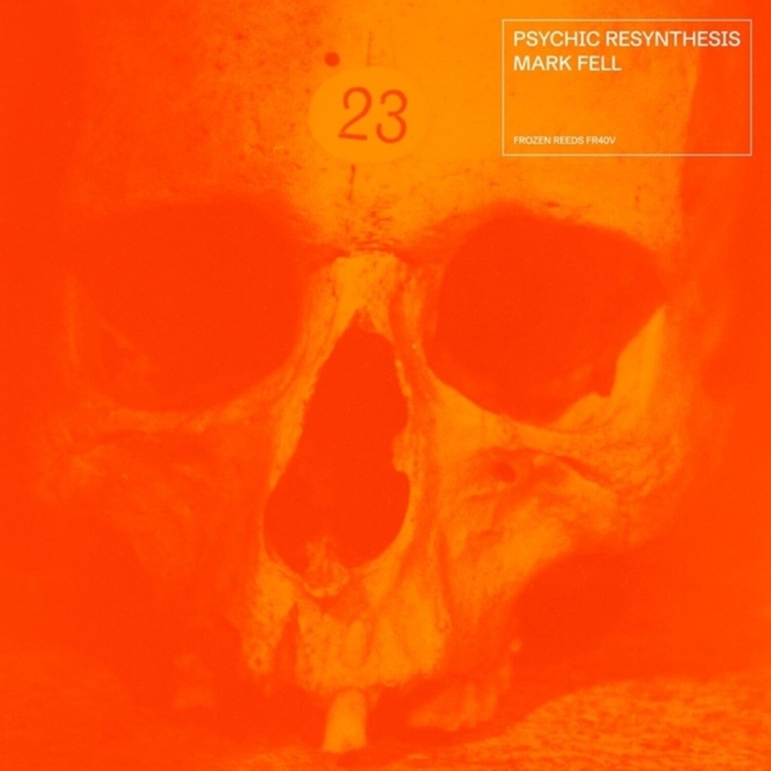 Mark Fell - Psychic Resynthesis 2xLP