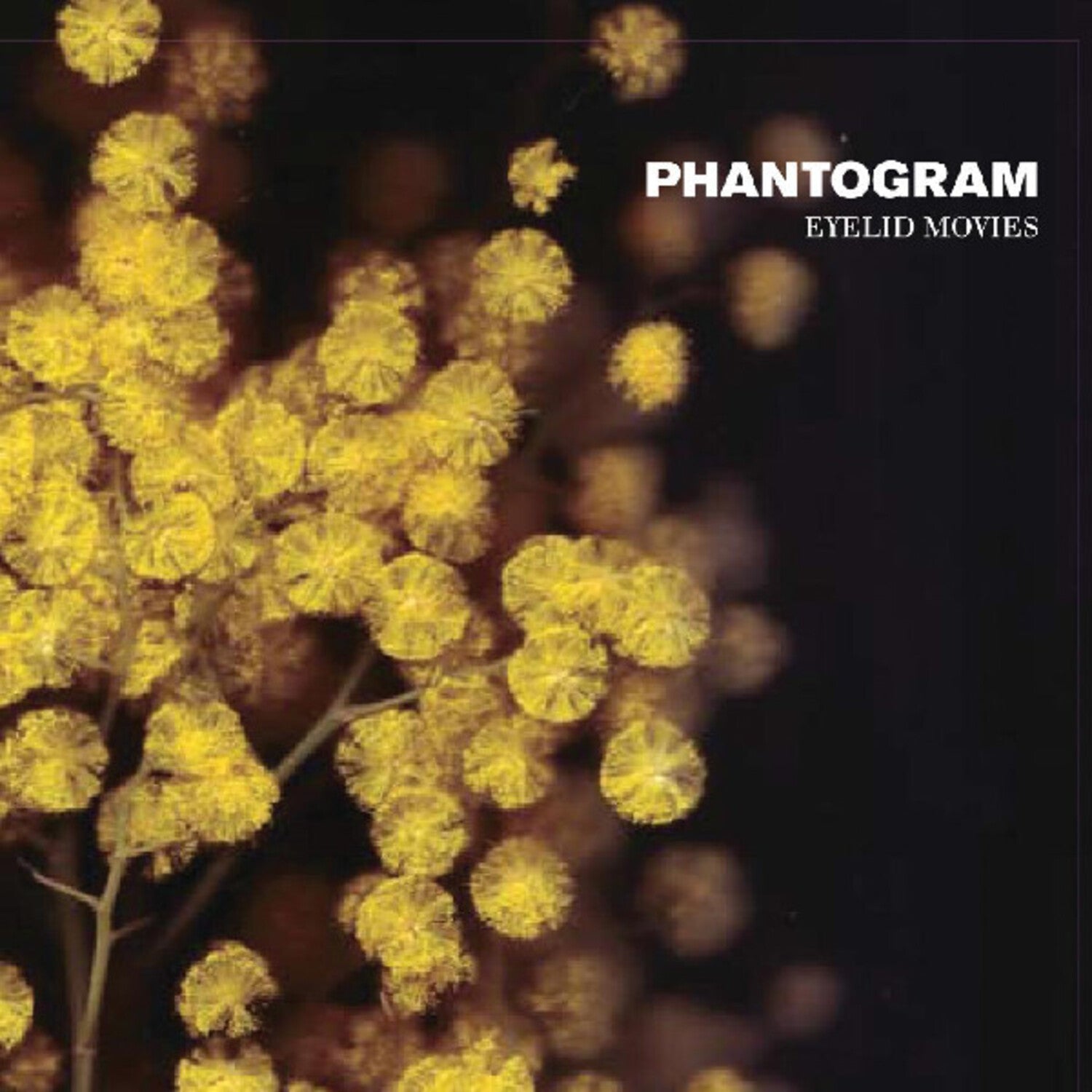 Phantogram - Eyelid Movies (Clear Vinyl)